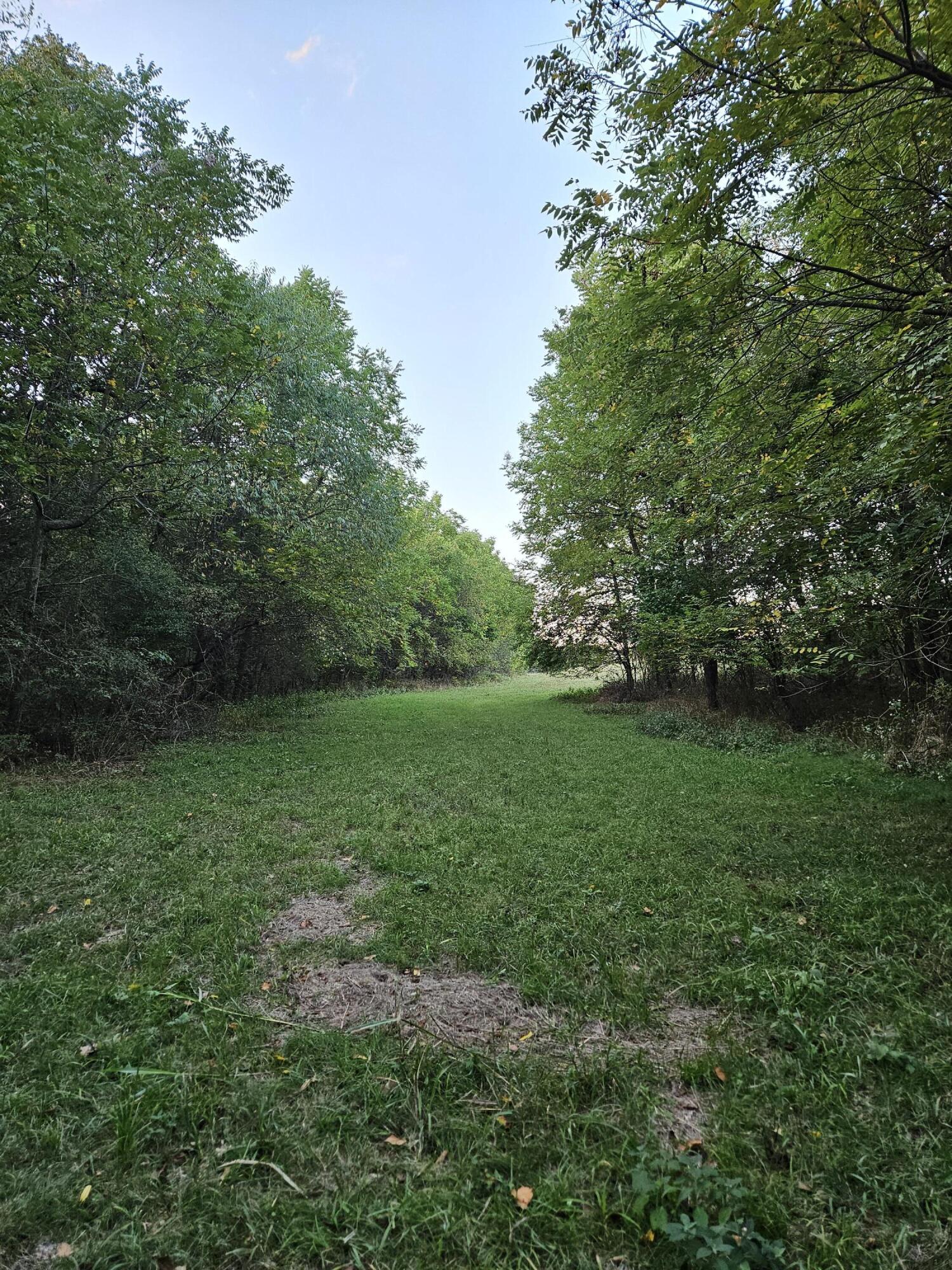 Photo 75 - Farm for sale – 4353  Lawrence 2220   Pierce City, MO