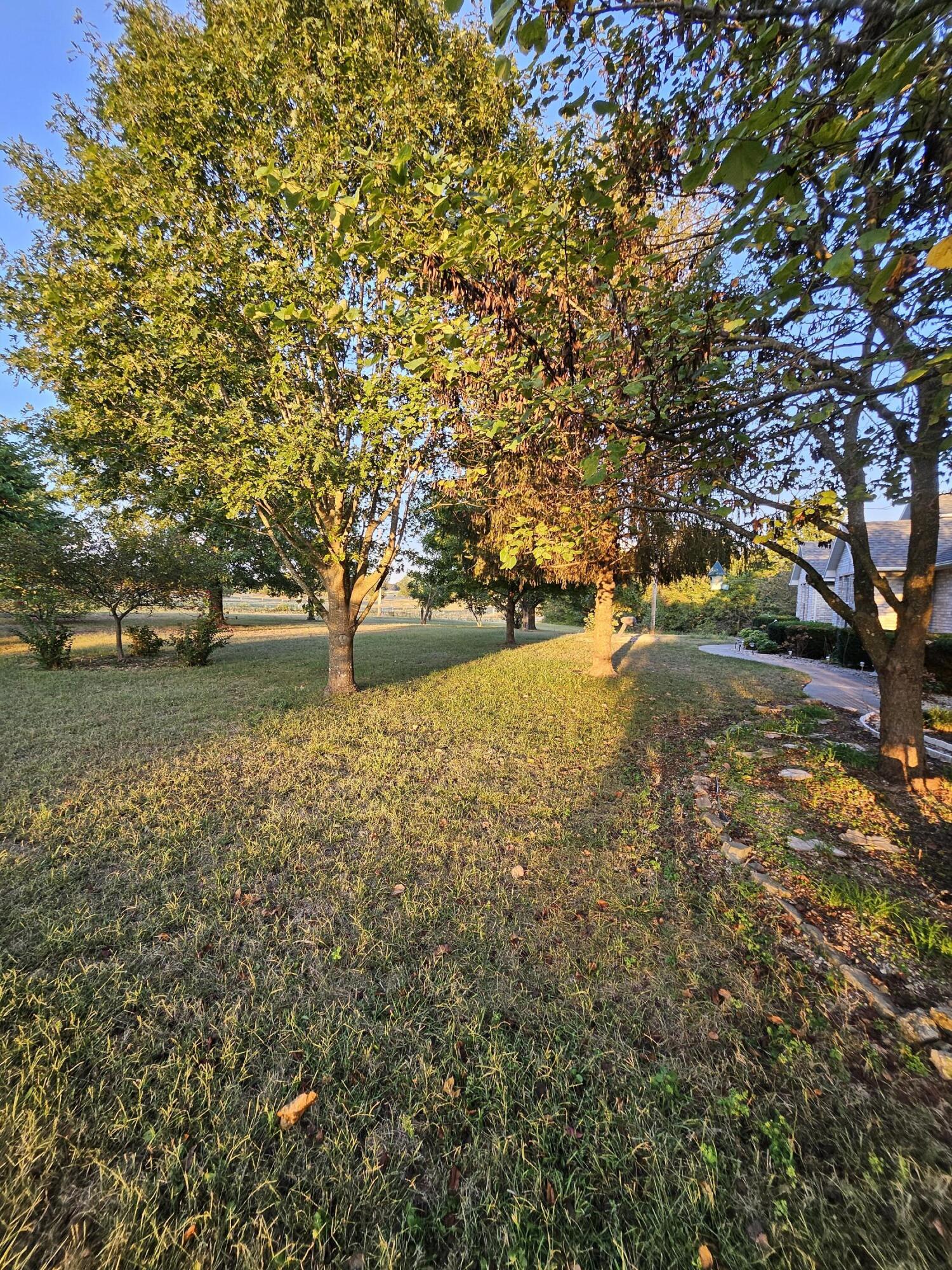 Photo 70 - Farm for sale – 4353  Lawrence 2220   Pierce City, MO
