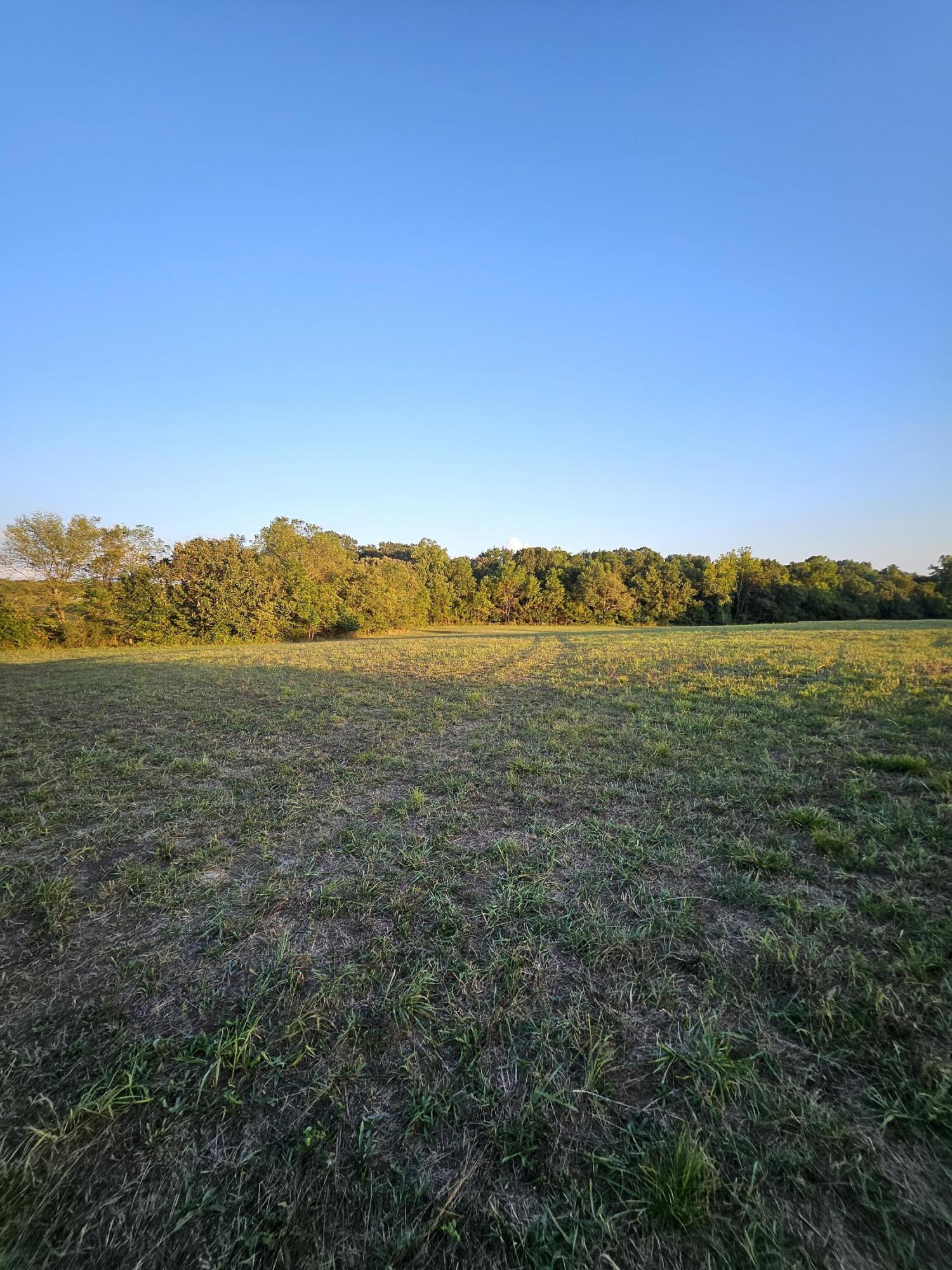 Photo 64 - Farm for sale – 4353  Lawrence 2220   Pierce City, MO