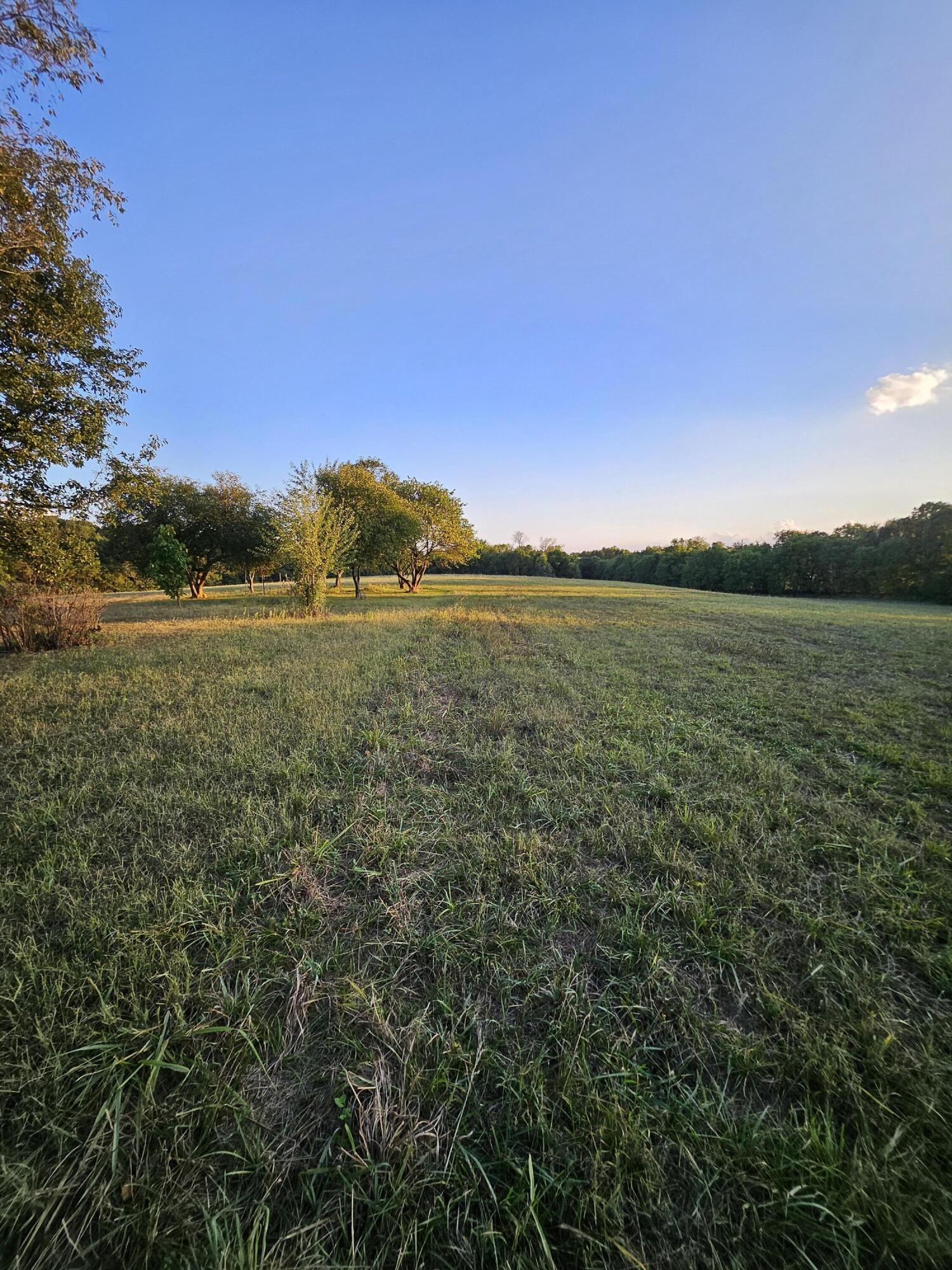 Photo 66 - Farm for sale – 4353  Lawrence 2220   Pierce City, MO