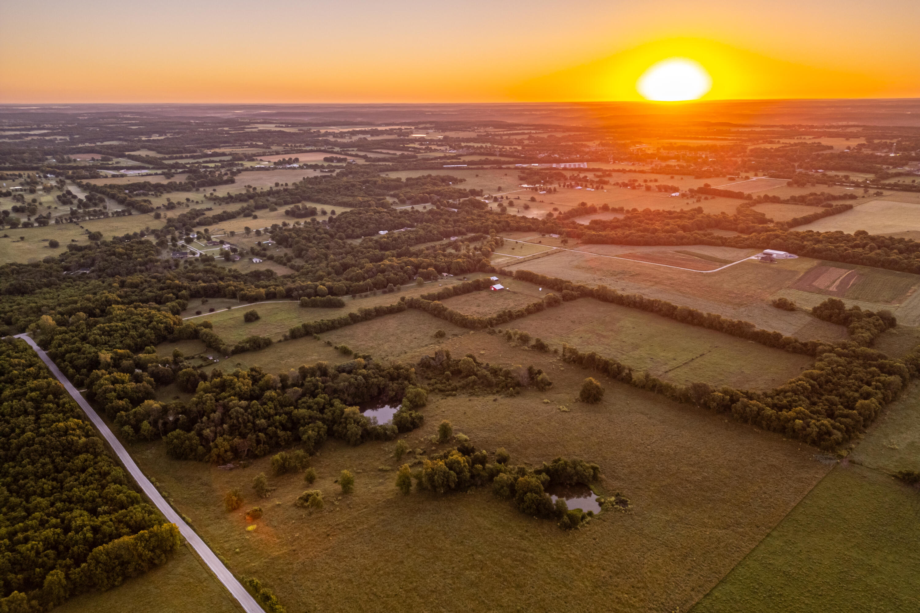 Photo 49 - Farm for sale – 000 W Placer Lane   Willard, MO