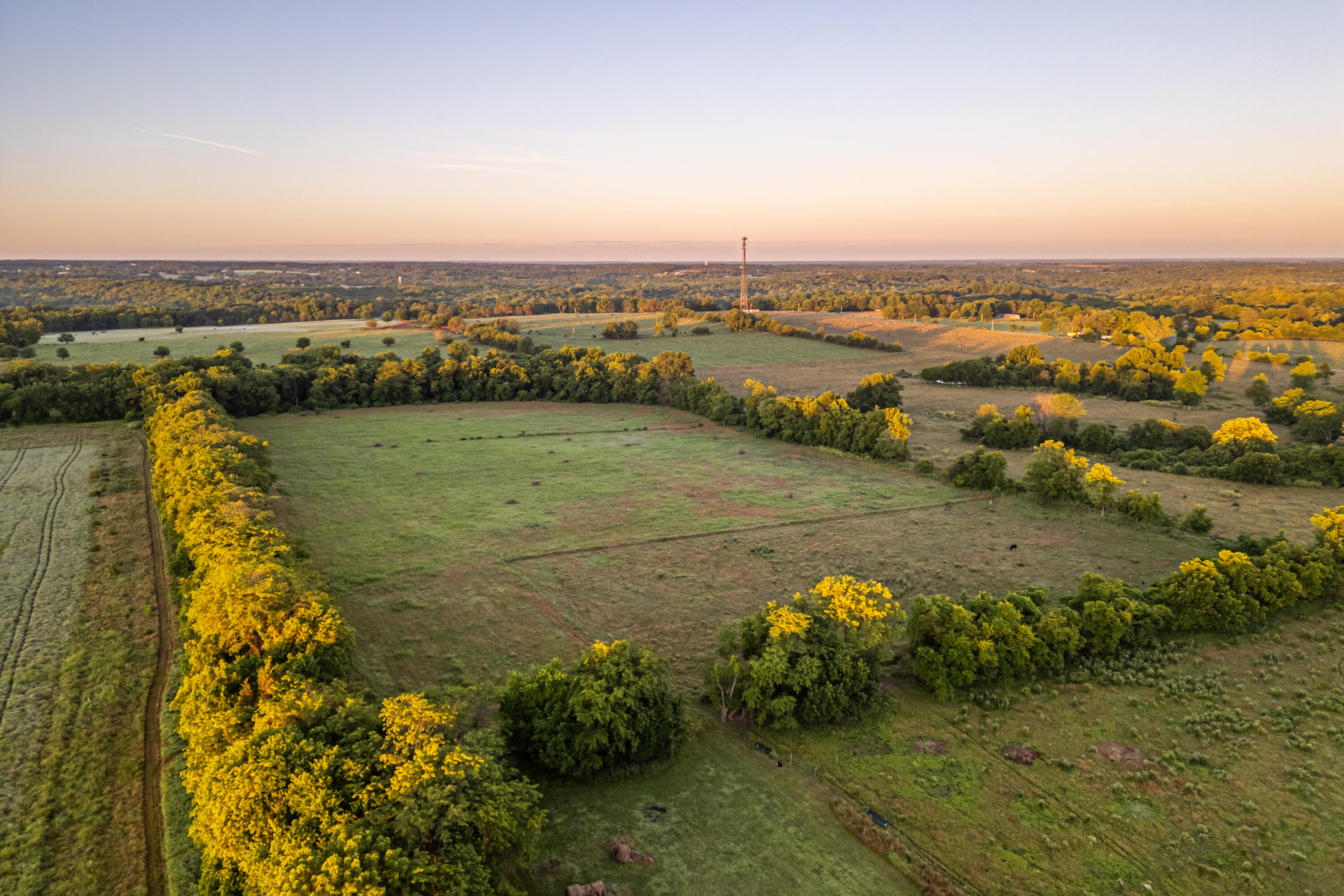 Photo 46 - Farm for sale – 000 W Placer Lane   Willard, MO