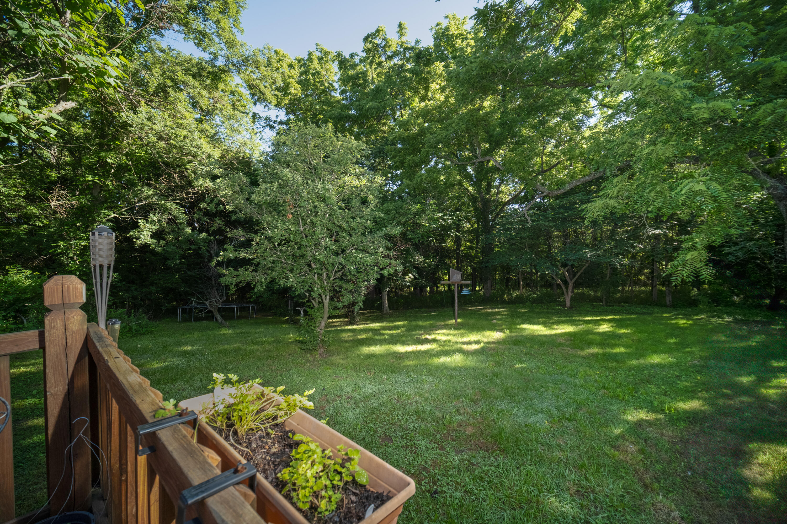 Photo 31 - Farm for sale – 000 W Placer Lane   Willard, MO