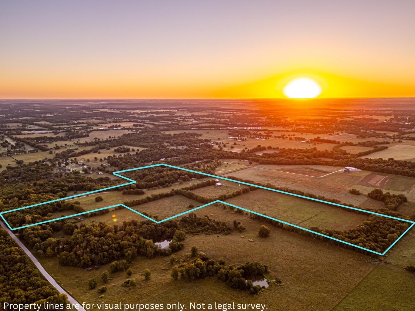 Photo 50 - Farm for sale – 000 W Placer Lane   Willard, MO