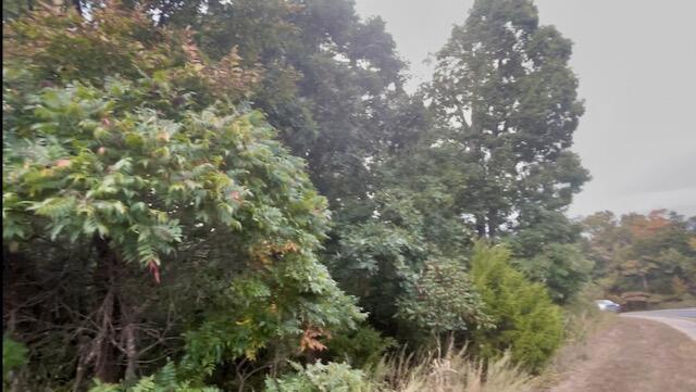 Photo 3 - Land for sale – Tbd  Spyglass Drive  Branson, MO