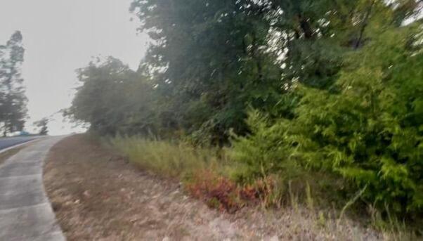 Photo 2 - Land for sale – Tbd  Spyglass Drive  Branson, MO