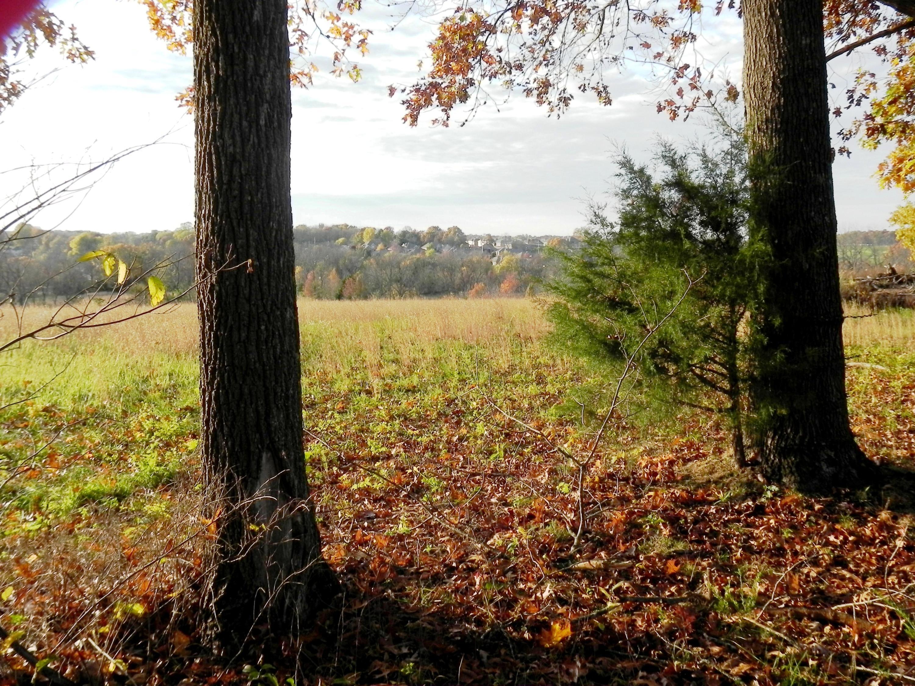 Photo 12 - Land for sale – Tbd N 20th Street  Ozark, MO