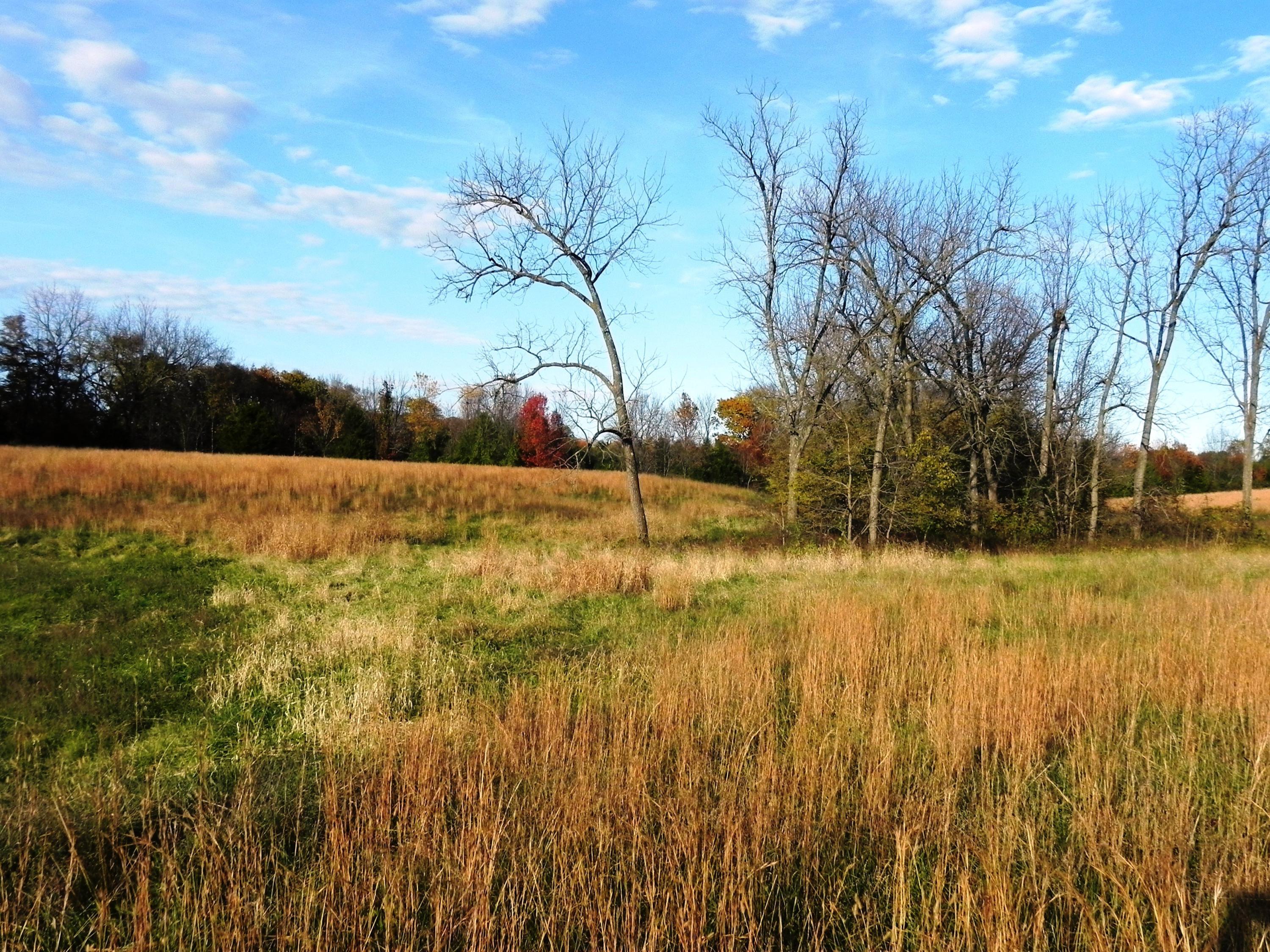 Photo 14 - Land for sale – Tbd N 20th Street  Ozark, MO