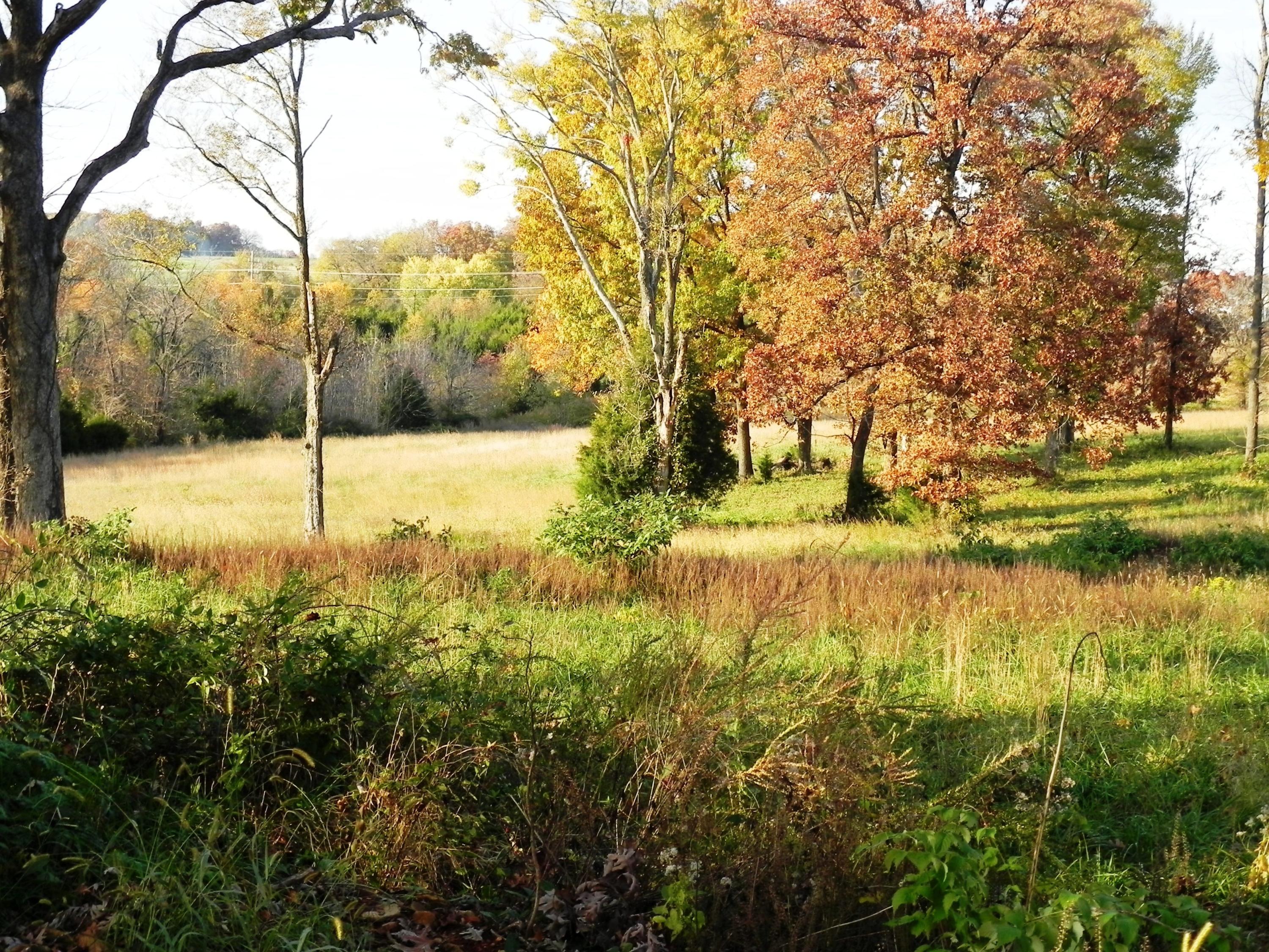 Photo 11 - Land for sale – Tbd N 20th Street  Ozark, MO