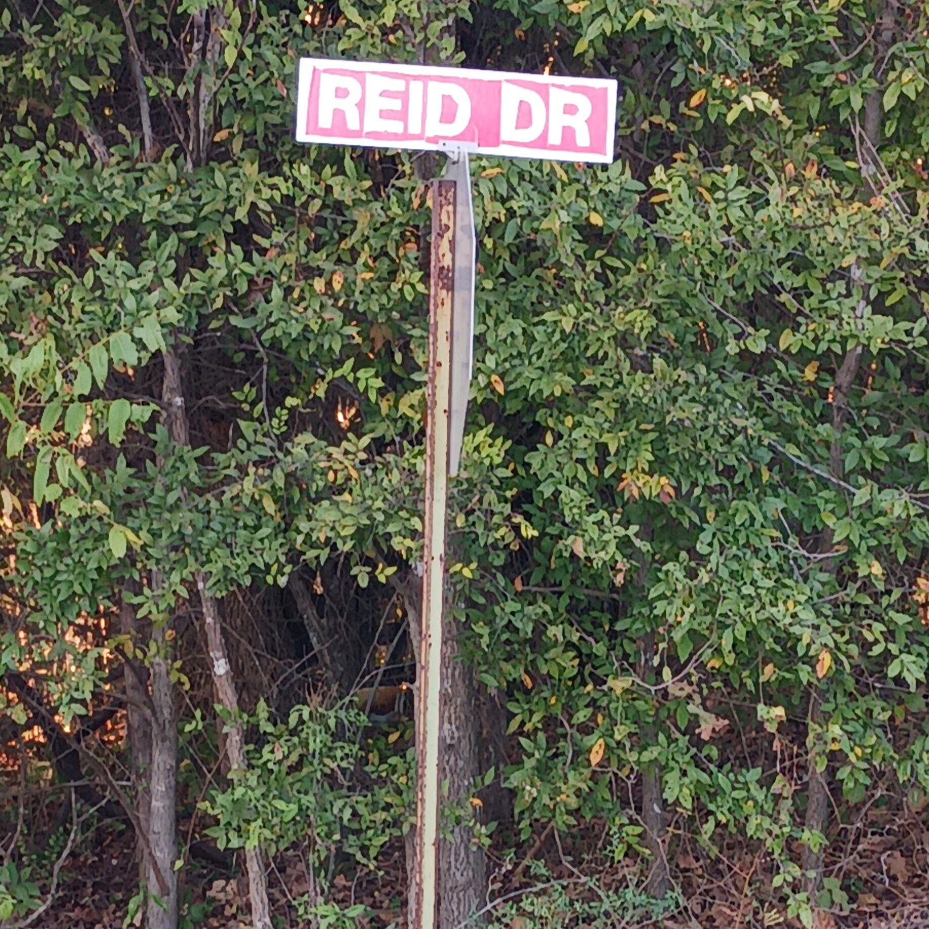 Photo 9 - Land for sale – Lots 13,14  Martingale Dr.   Theodosia, MO