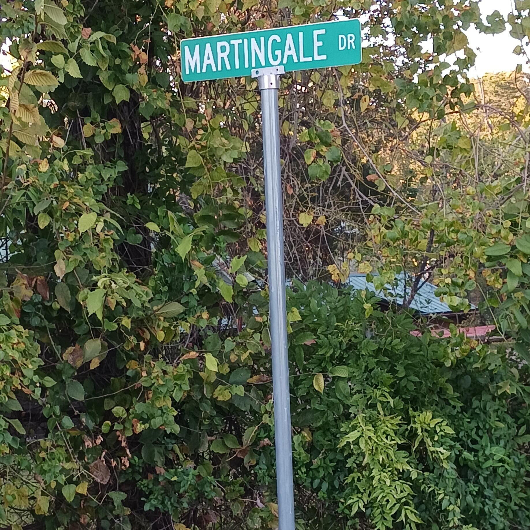Photo 8 - Land for sale – Lots 13,14  Martingale Dr.   Theodosia, MO