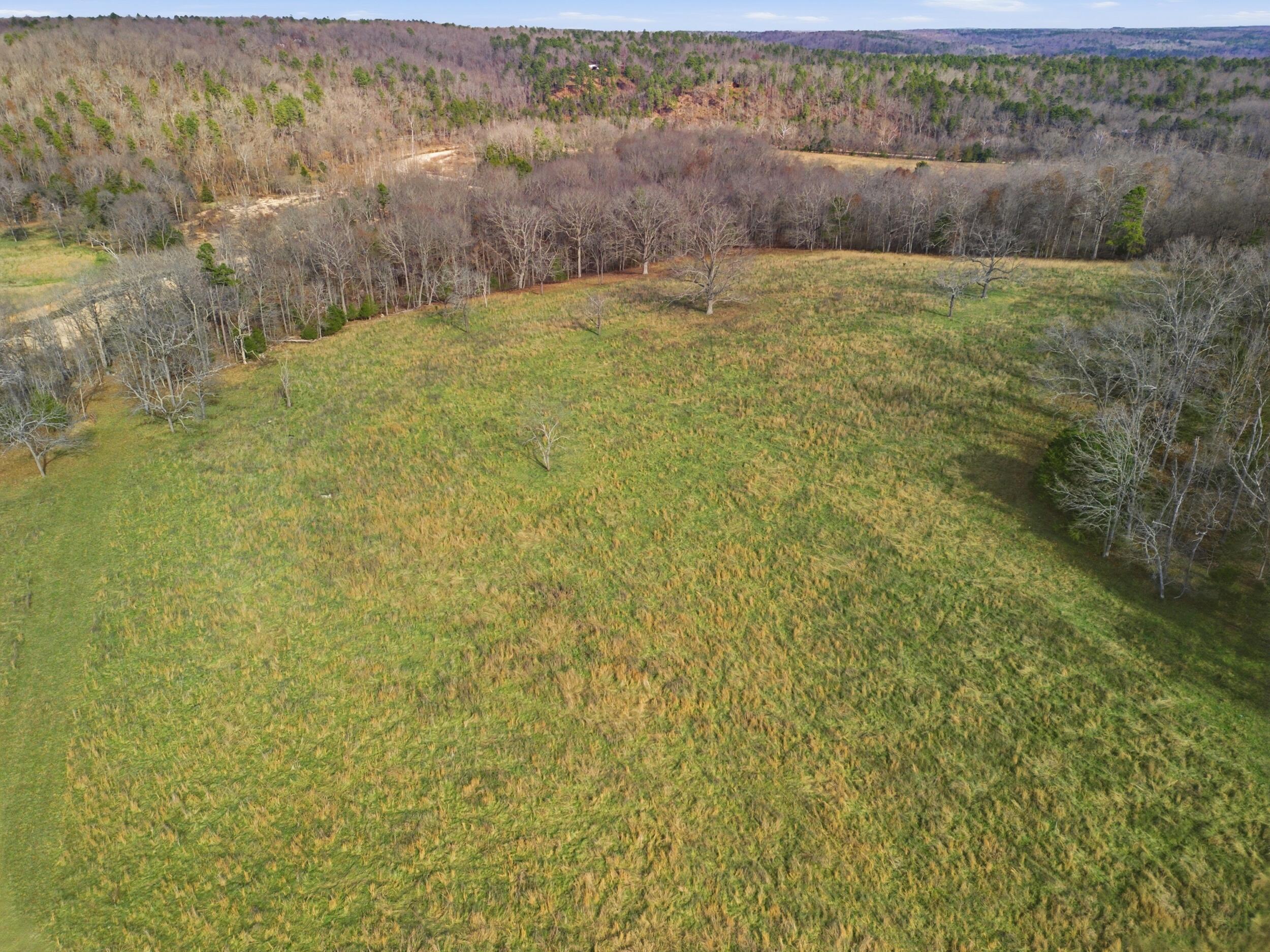 Photo 41 - Farm for sale – 2755  County Road 422   Thomasville, MO