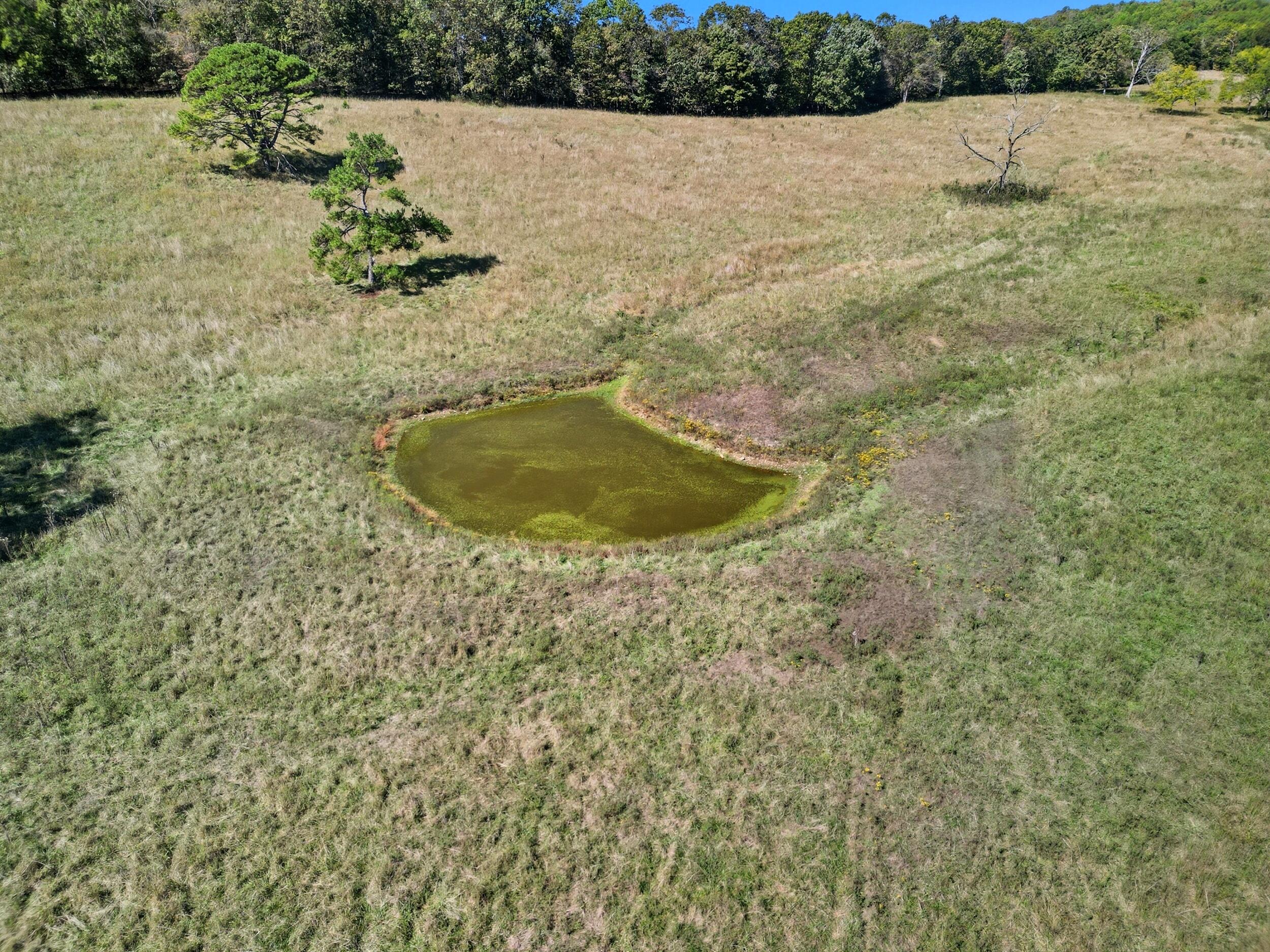 Photo 11 - Farm for sale – 2755  County Road 422   Thomasville, MO
