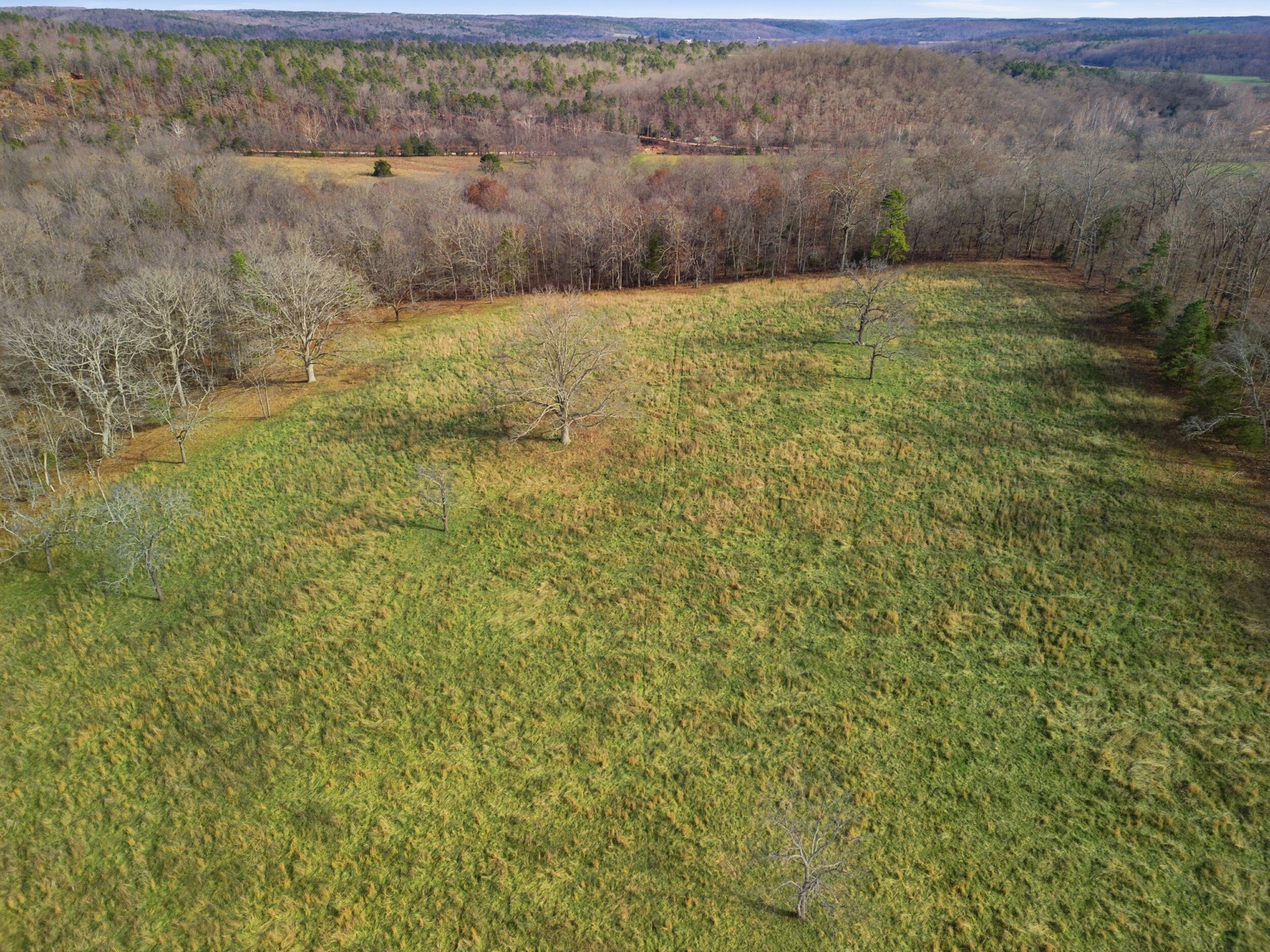Photo 43 - Farm for sale – 2755  County Road 422   Thomasville, MO