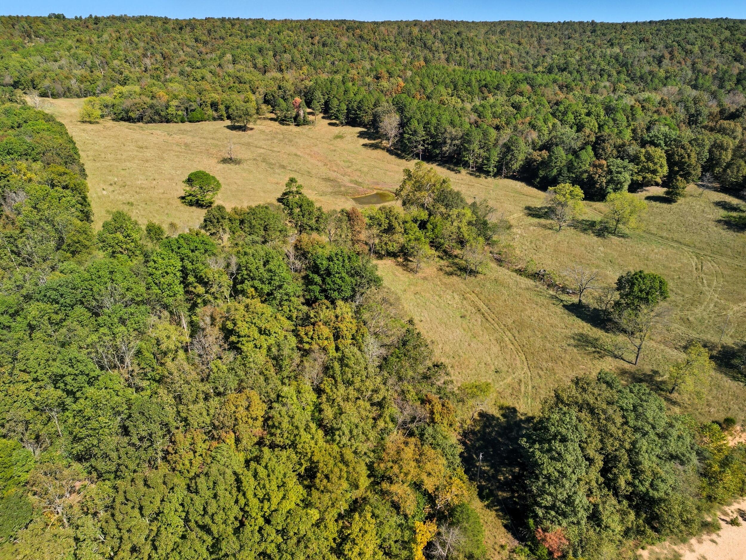 Photo 14 - Farm for sale – 2755  County Road 422   Thomasville, MO