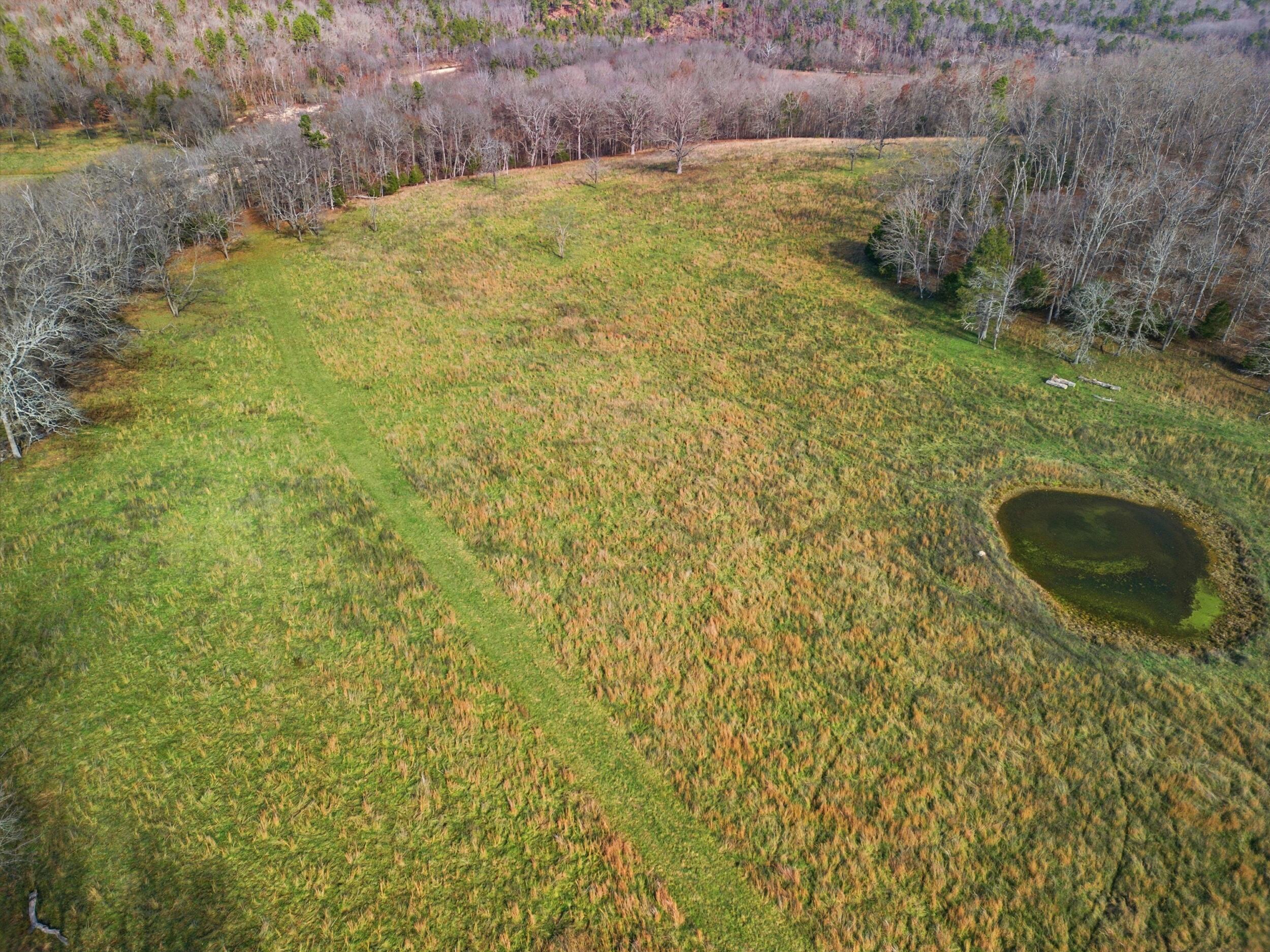 Photo 40 - Farm for sale – 2755  County Road 422   Thomasville, MO
