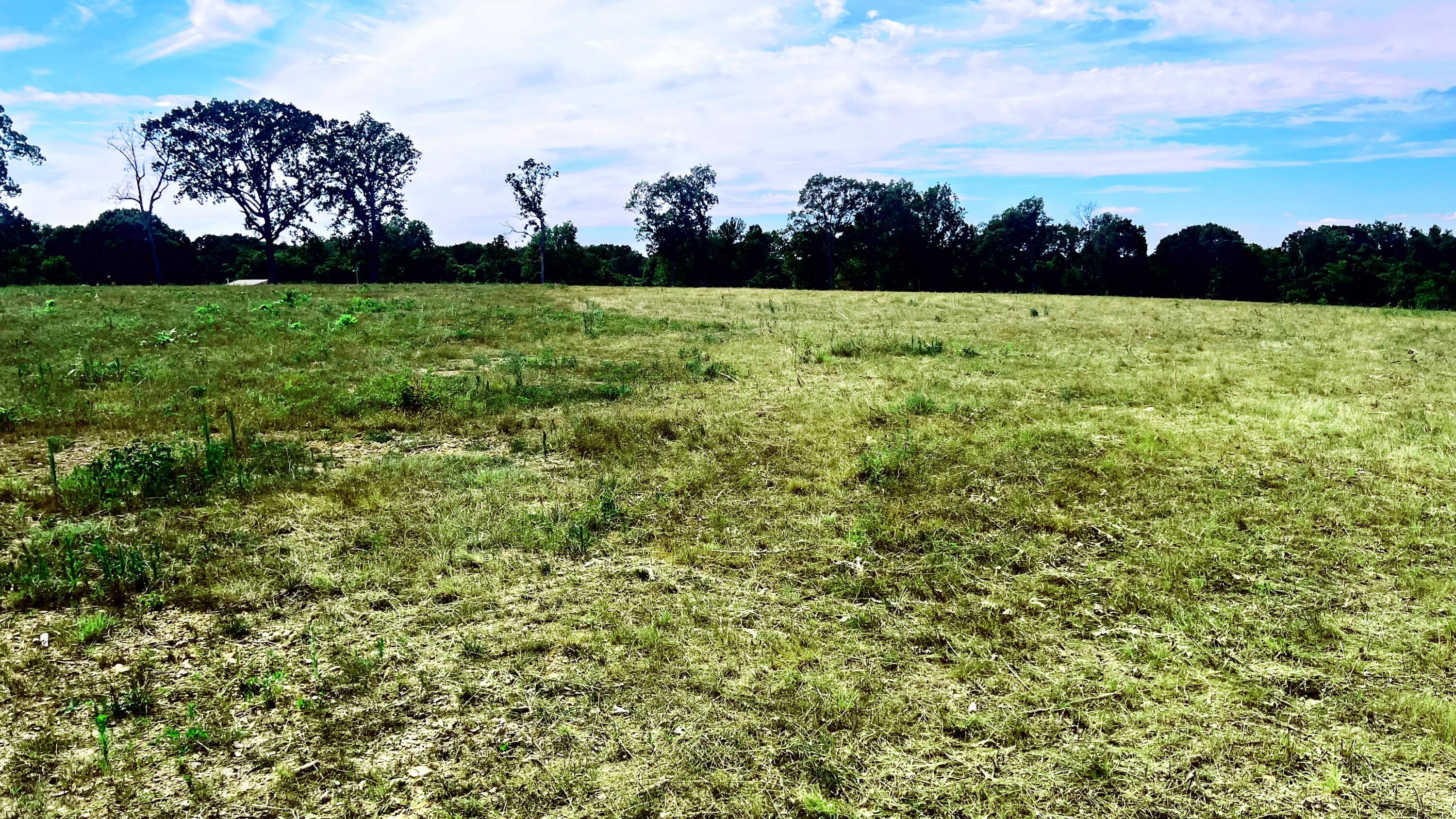 Photo 12 - Land for sale – Tbd  Farm Road 1040   Exeter, MO