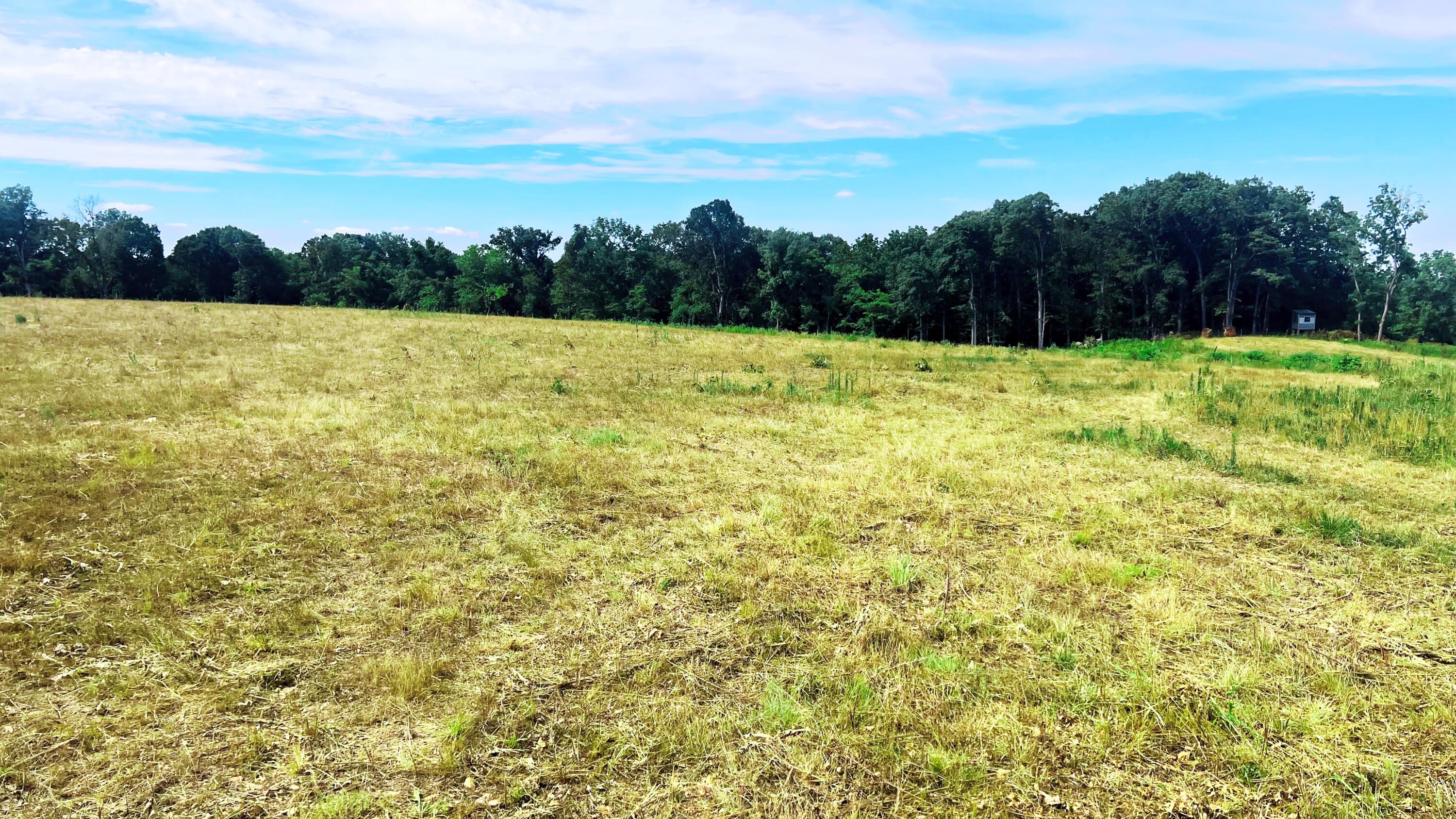 Land for sale – Tbd  Farm Road 1040   Exeter, MO