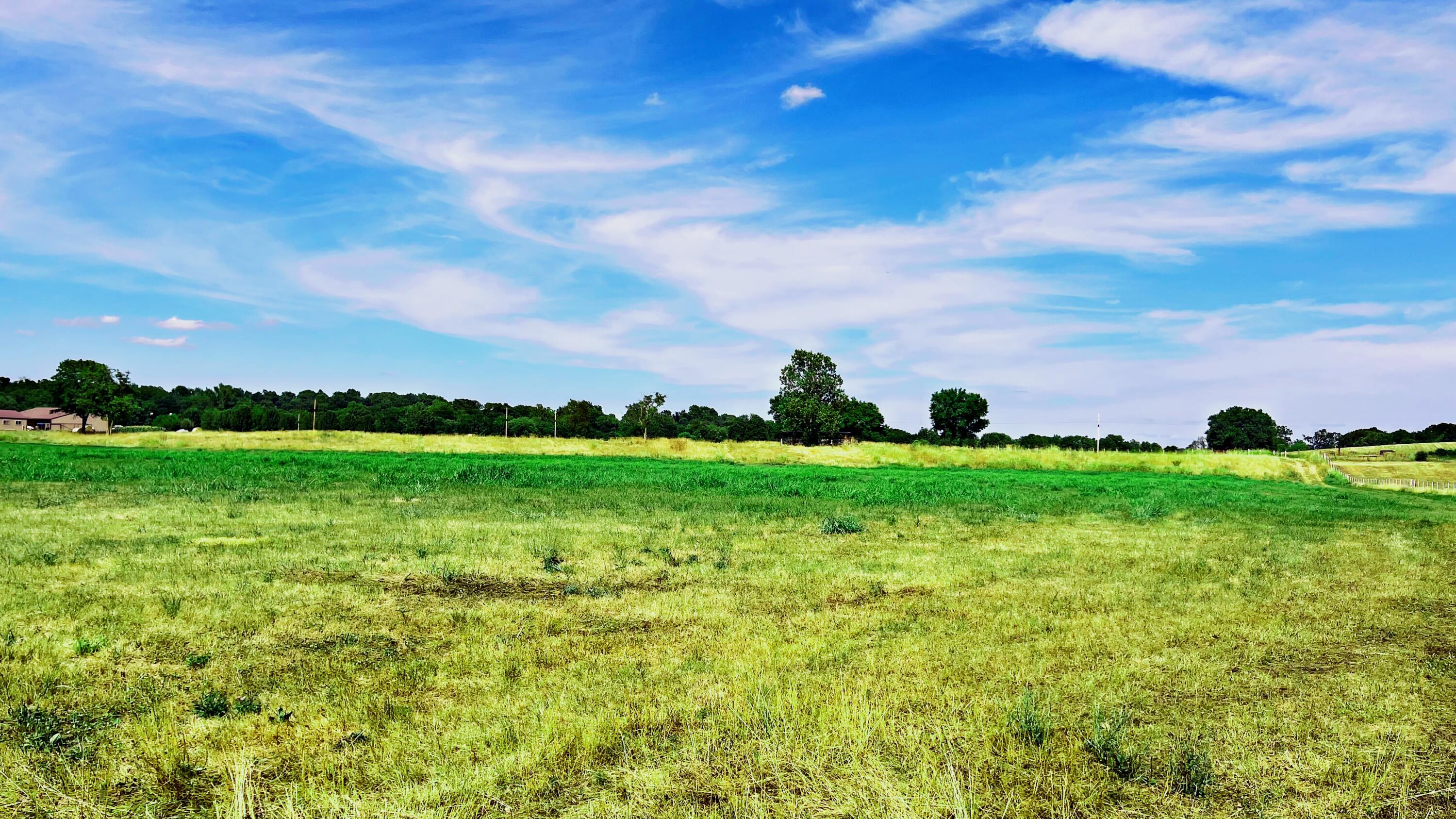 Photo 6 - Land for sale – Tbd  Farm Road 1040   Exeter, MO