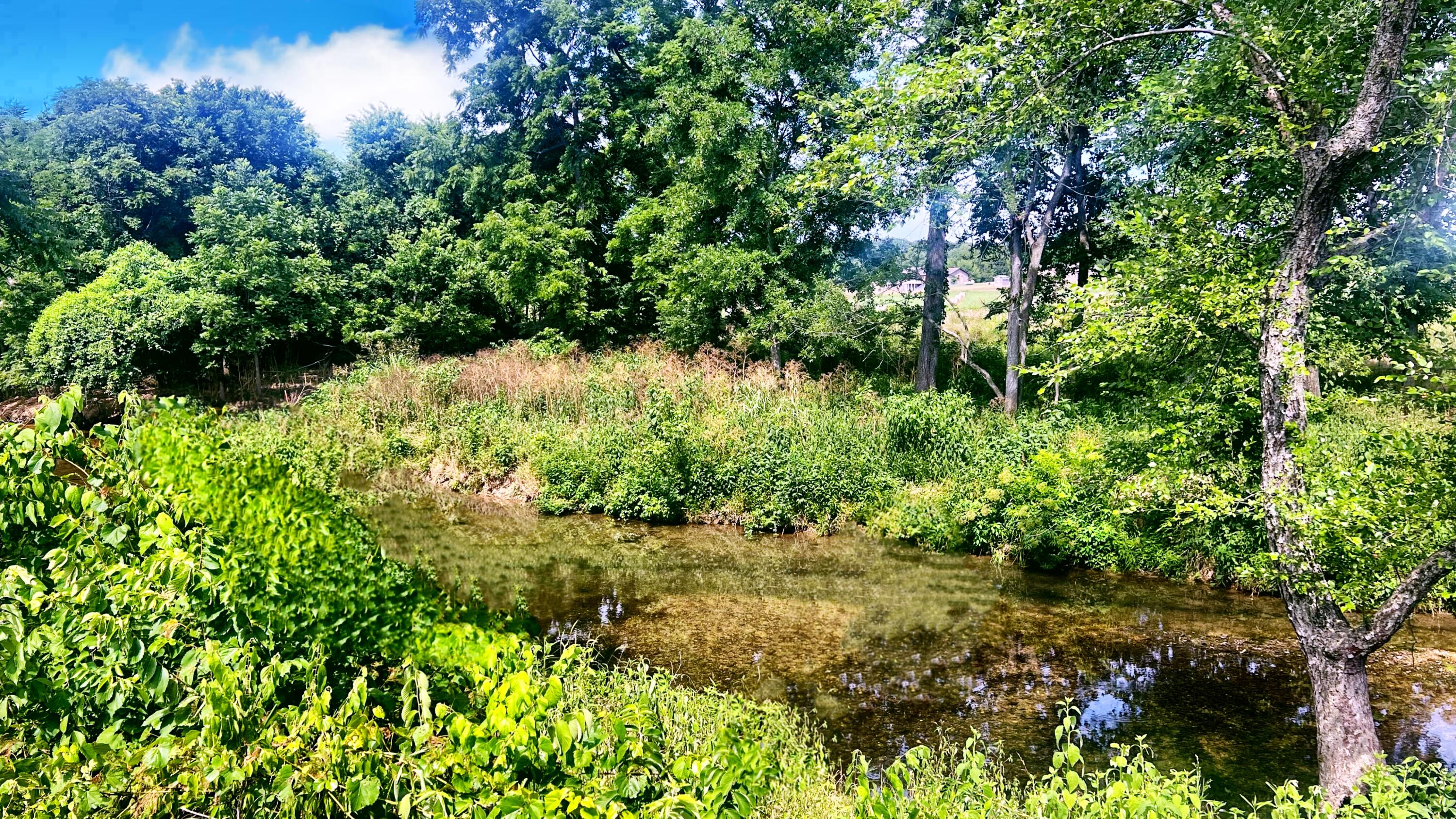 Photo 10 - Land for sale – Tbd  Farm Road 1040   Exeter, MO