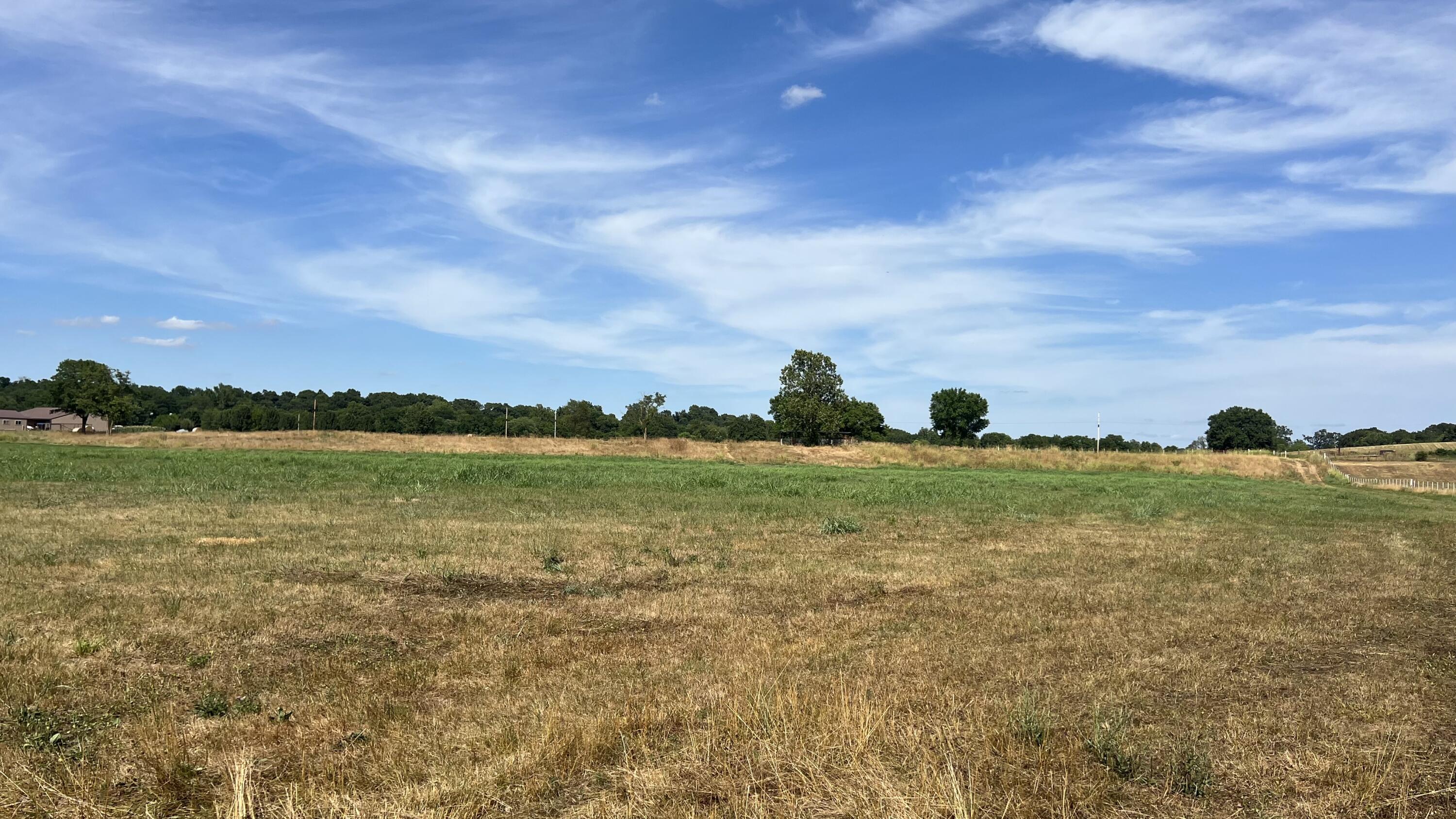 Photo 14 - Land for sale – Tbd  Farm Road 1040   Exeter, MO