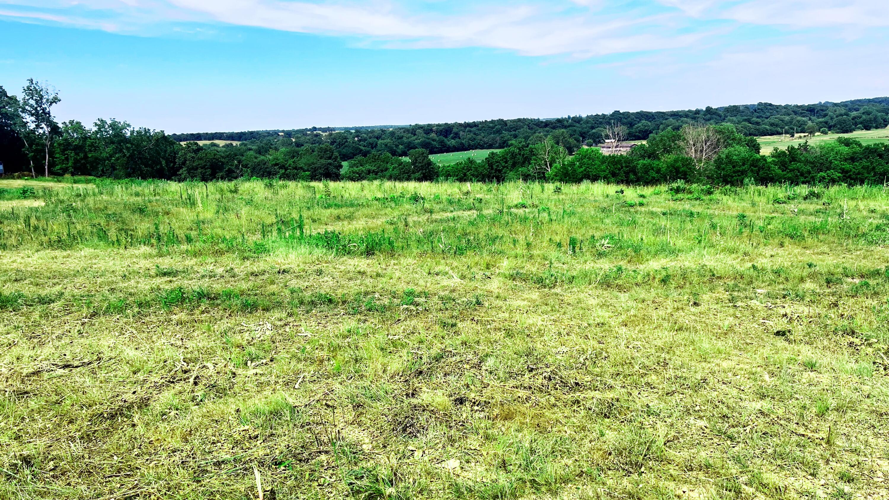 Photo 8 - Land for sale – Tbd  Farm Road 1040   Exeter, MO