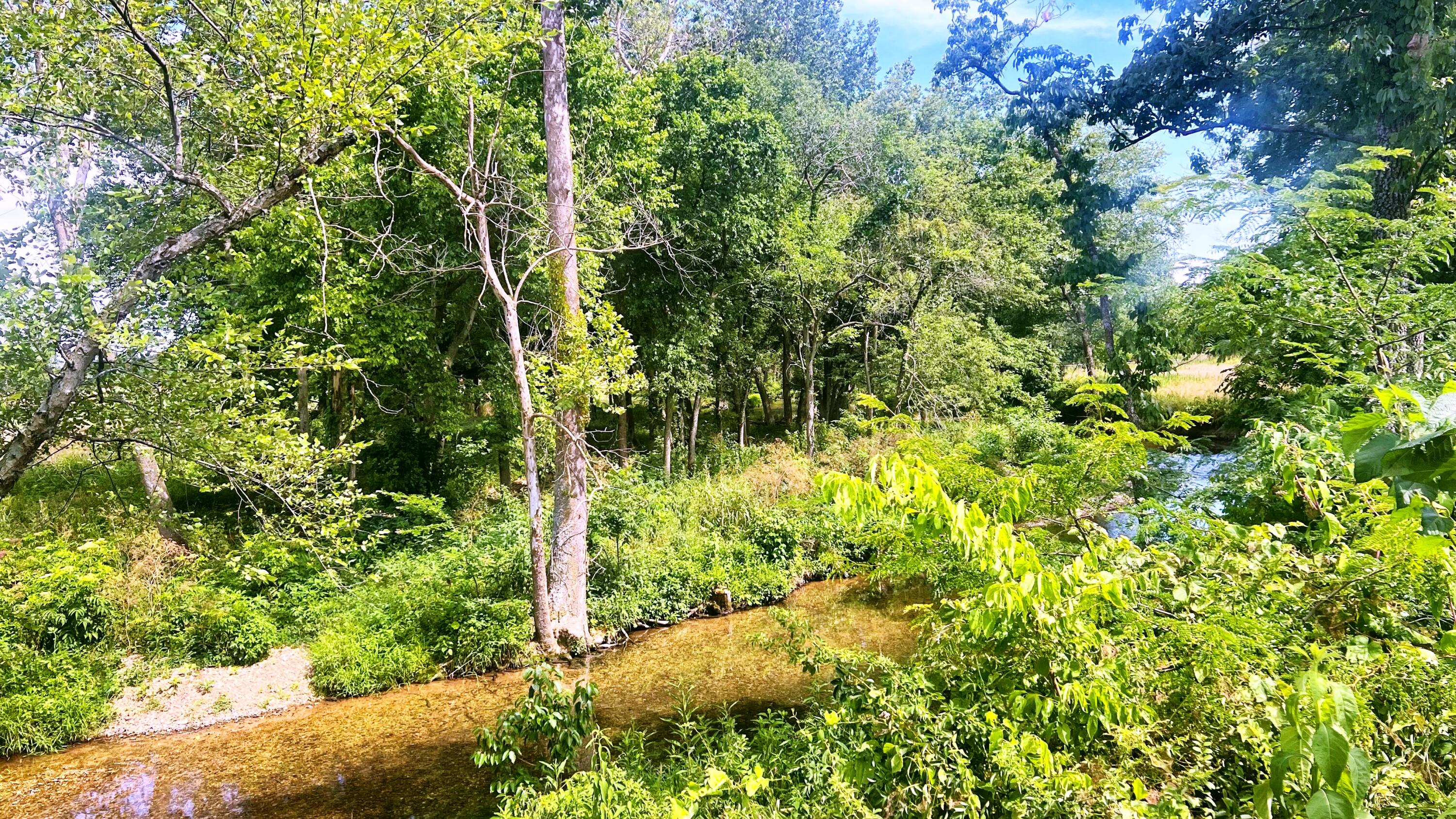 Photo 11 - Land for sale – Tbd  Farm Road 1040   Exeter, MO