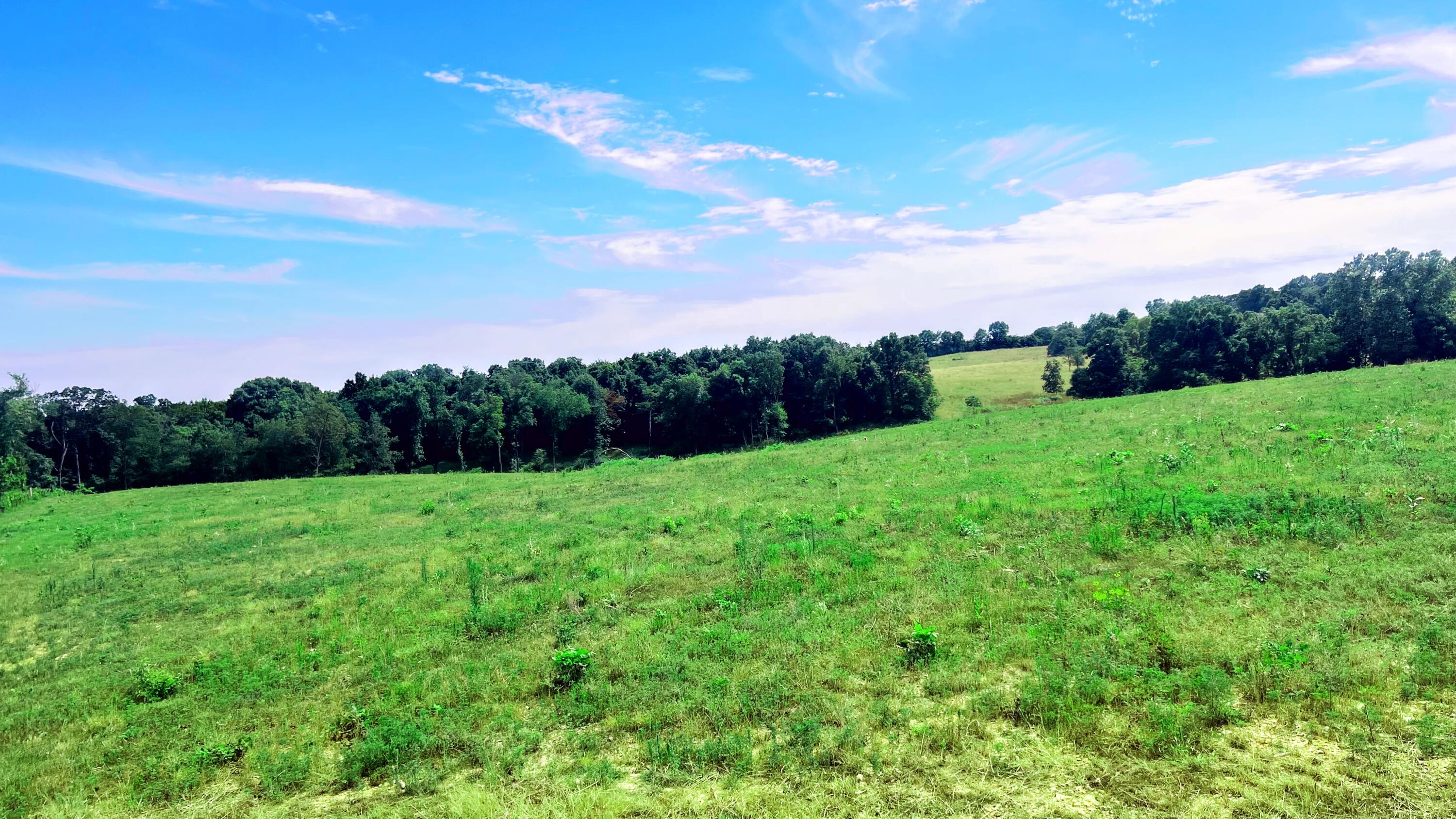 Photo 7 - Land for sale – Tbd  Farm Road 1040   Exeter, MO