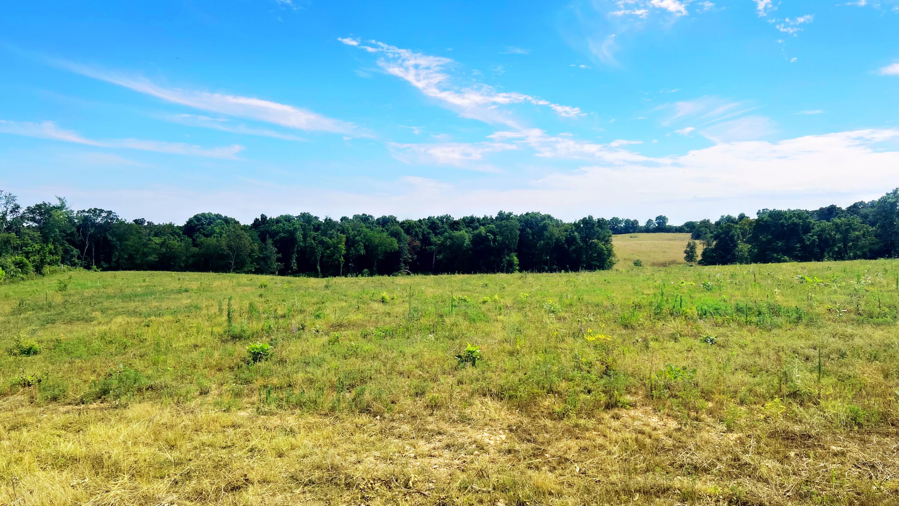 Photo 9 - Land for sale – Tbd  Farm Road 1040   Exeter, MO