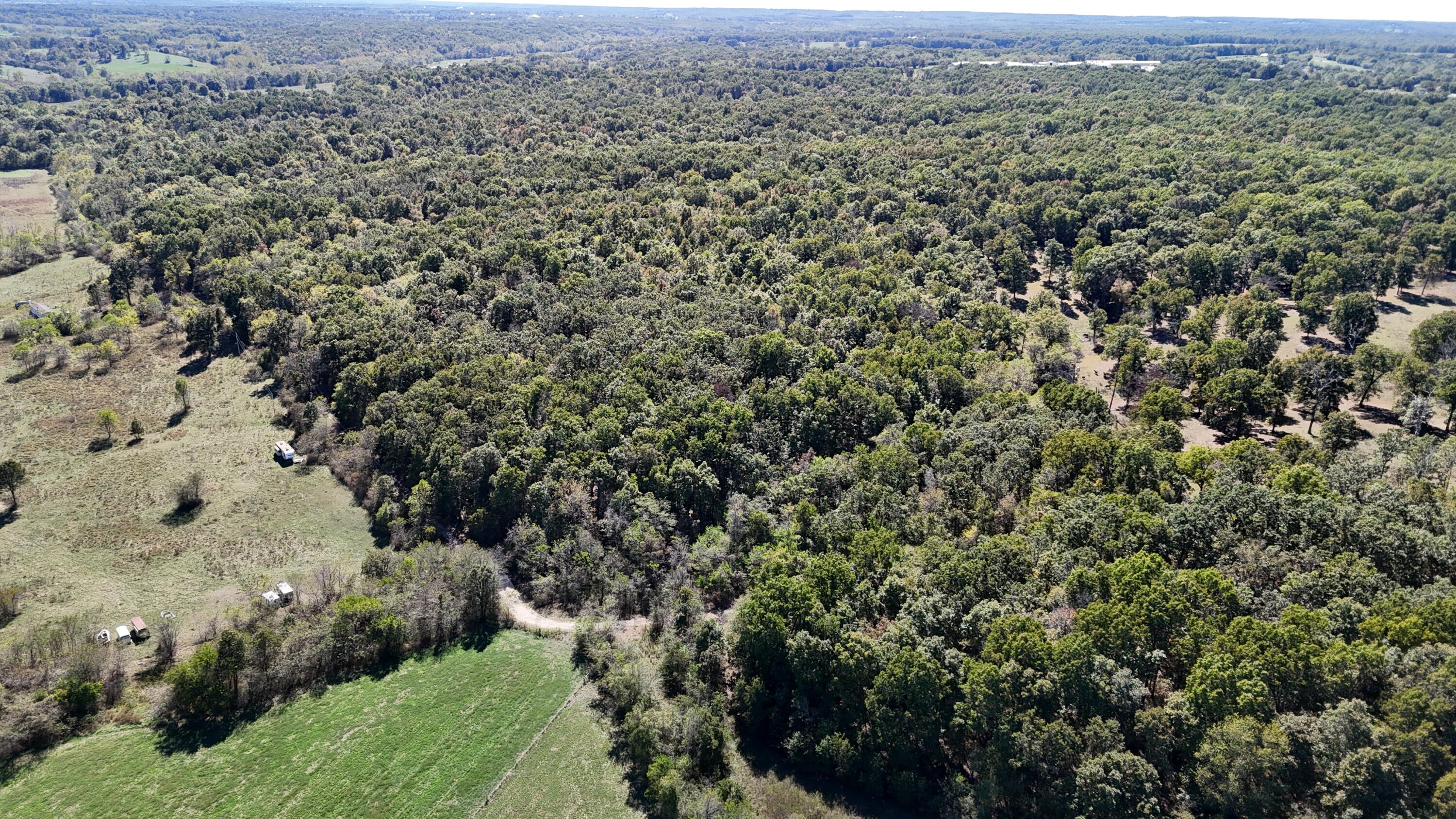 Photo 5 - Land for sale – 0000  Grape Vine   Marshfield, MO