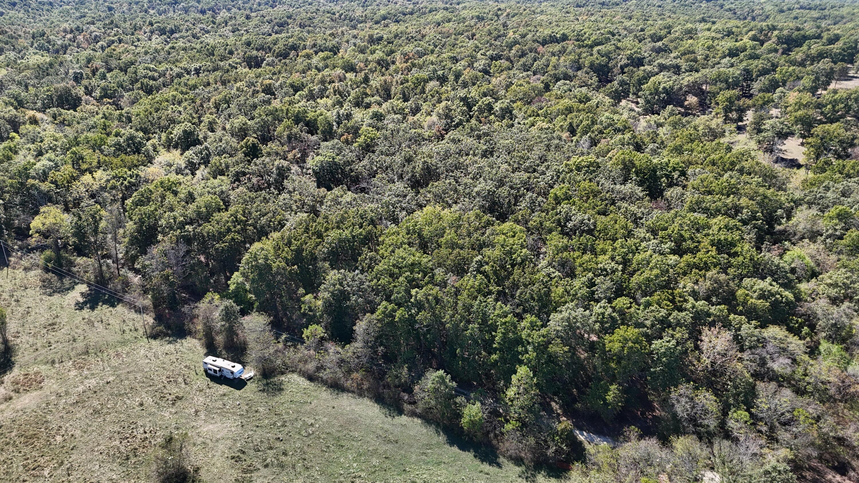 Photo 8 - Land for sale – 0000  Grape Vine   Marshfield, MO