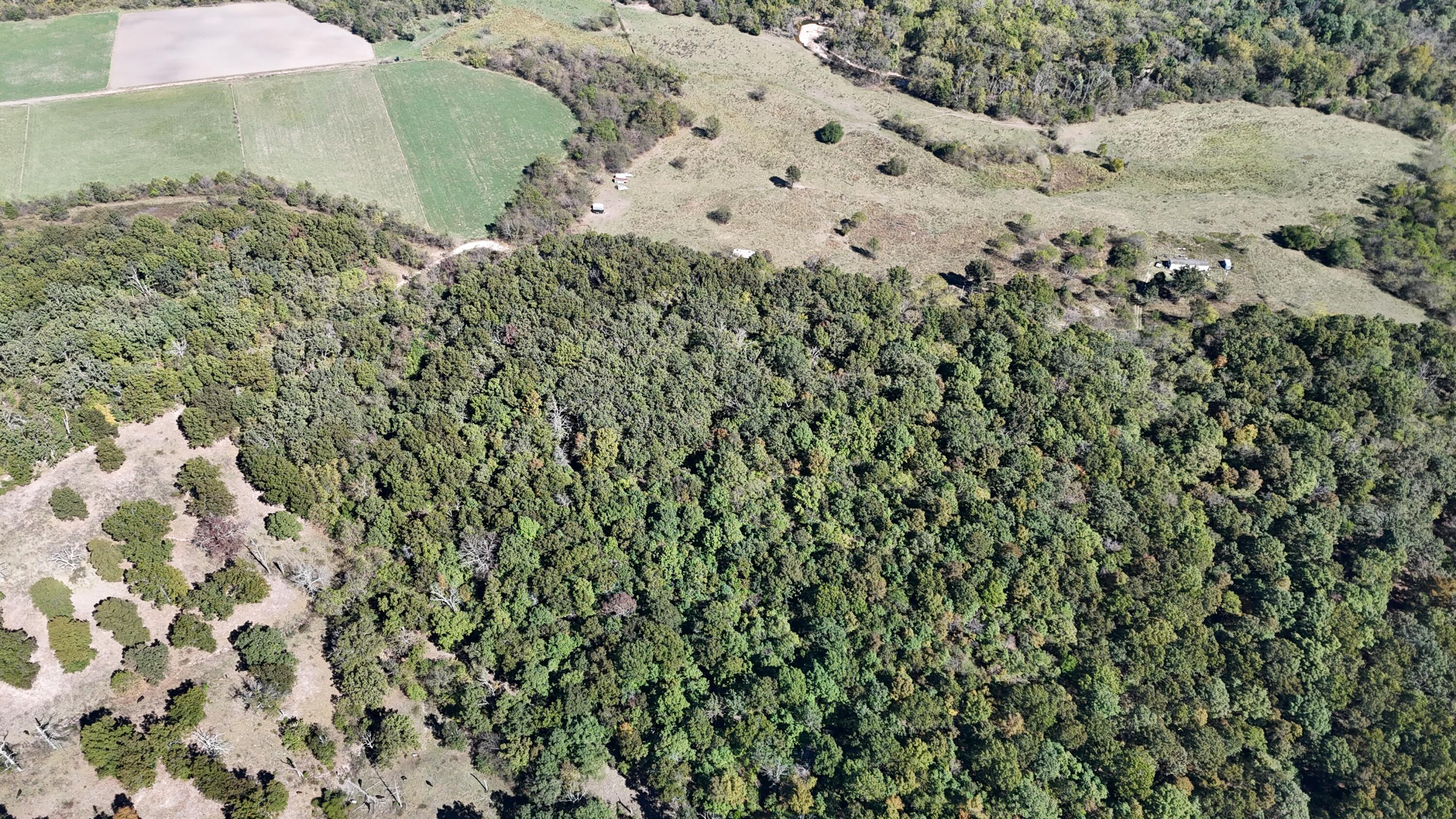 Photo 13 - Land for sale – 0000  Grape Vine   Marshfield, MO
