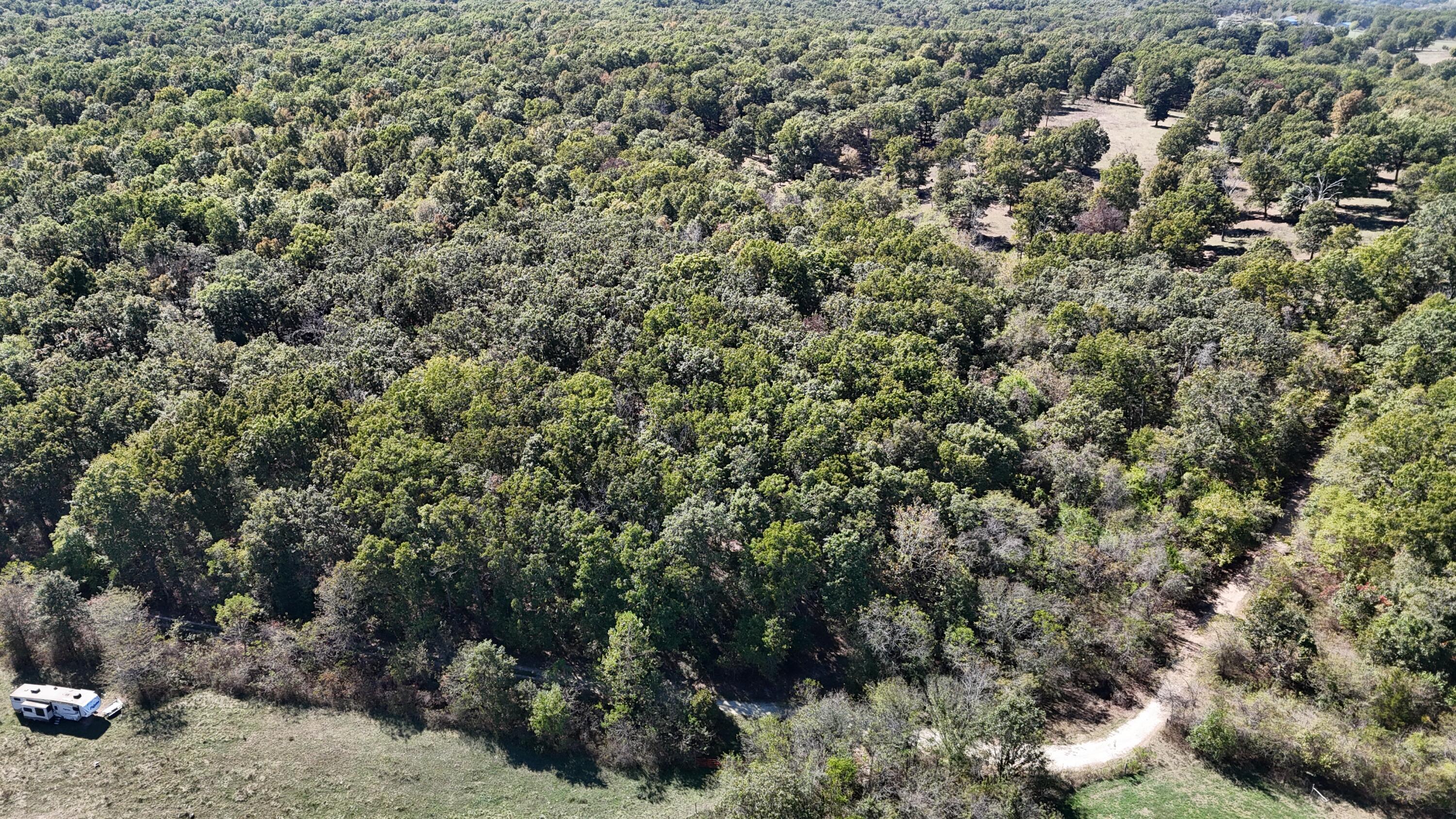 Photo 7 - Land for sale – 0000  Grape Vine   Marshfield, MO