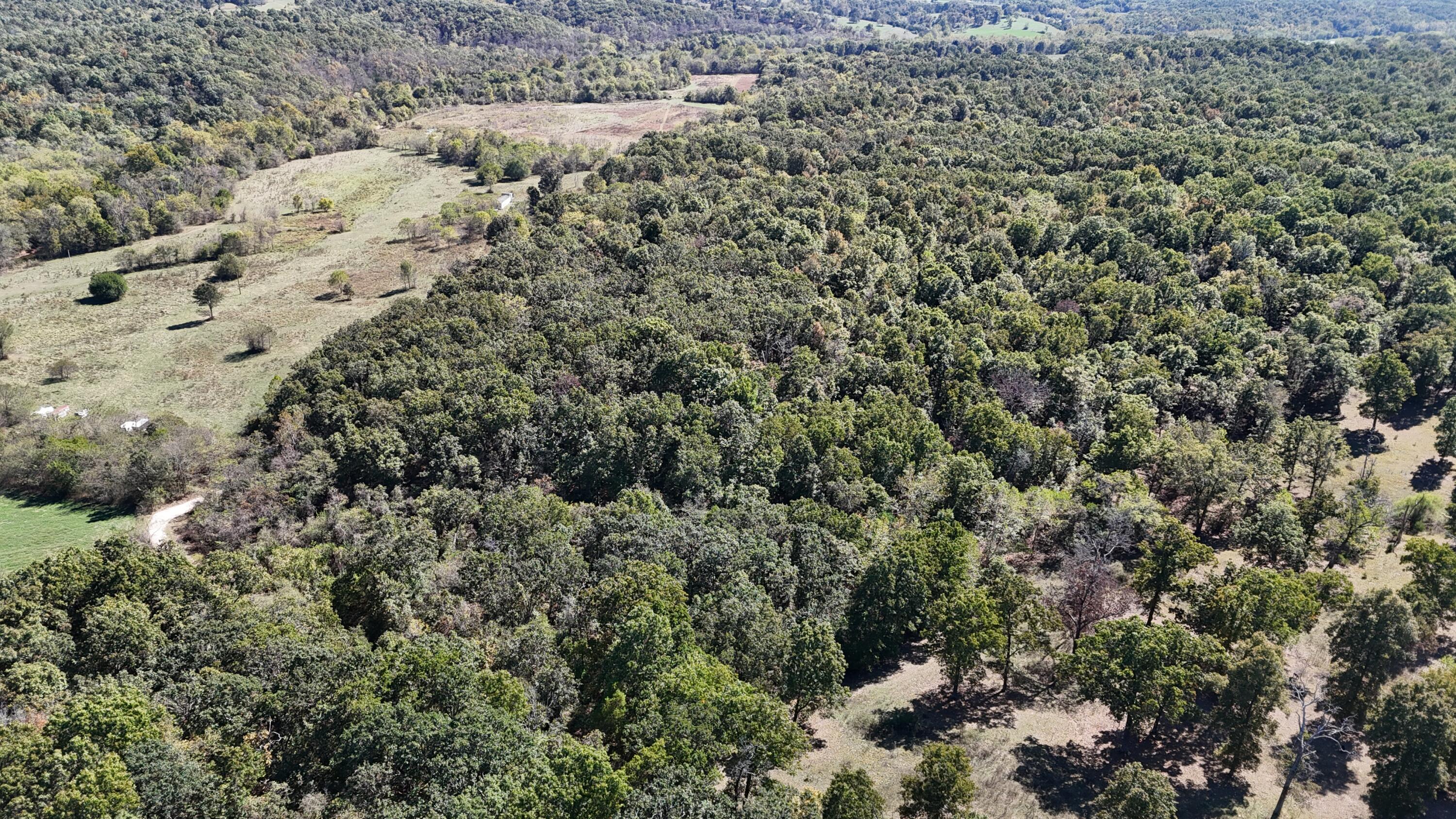 Photo 3 - Land for sale – 0000  Grape Vine   Marshfield, MO