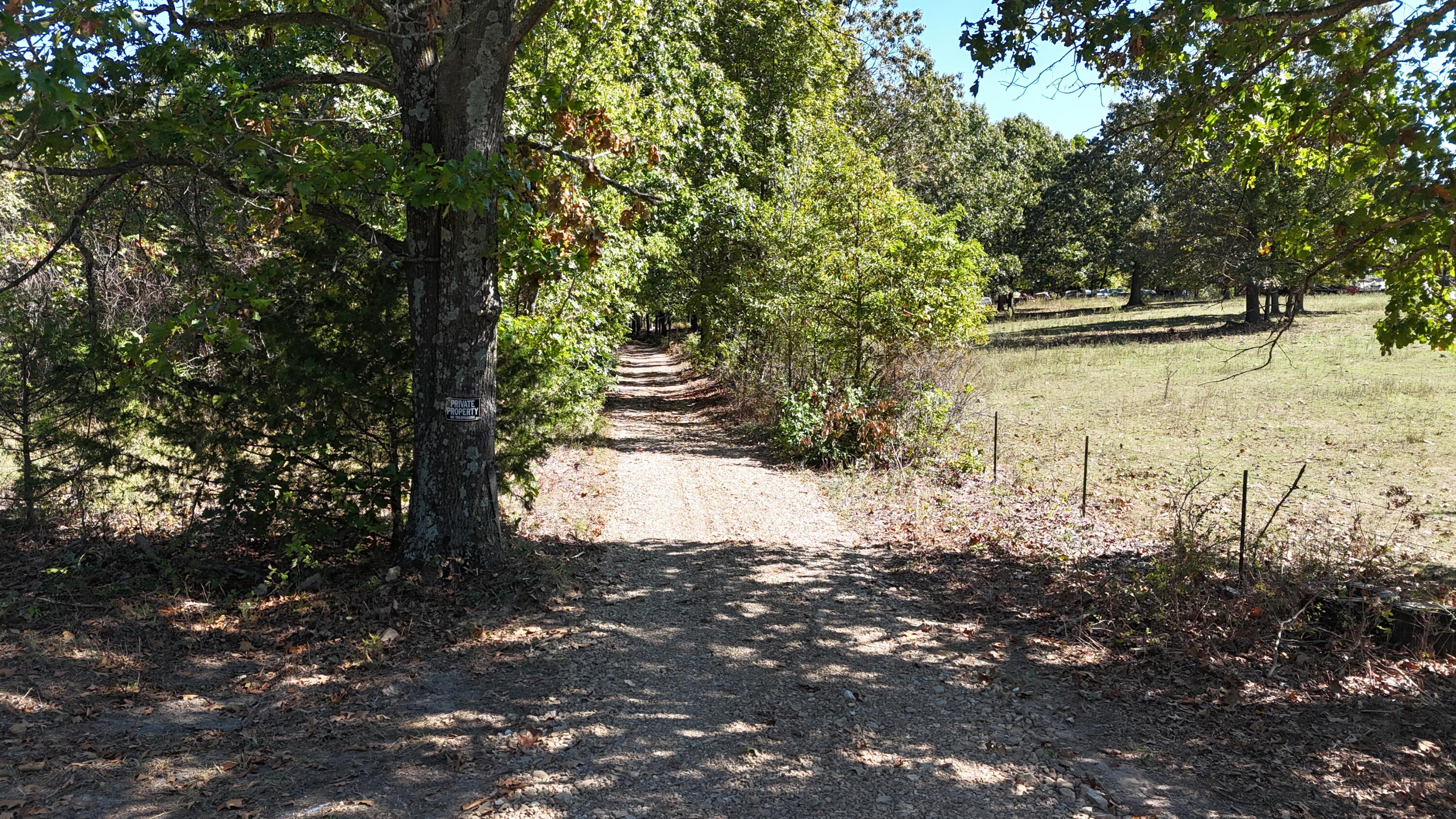 Photo 2 - Land for sale – 0000  Grape Vine   Marshfield, MO