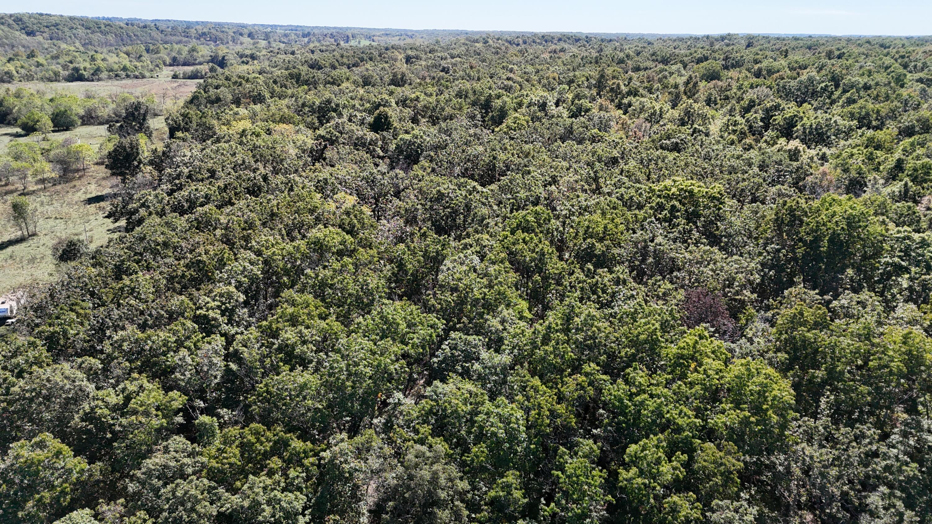 Photo 11 - Land for sale – 0000  Grape Vine   Marshfield, MO