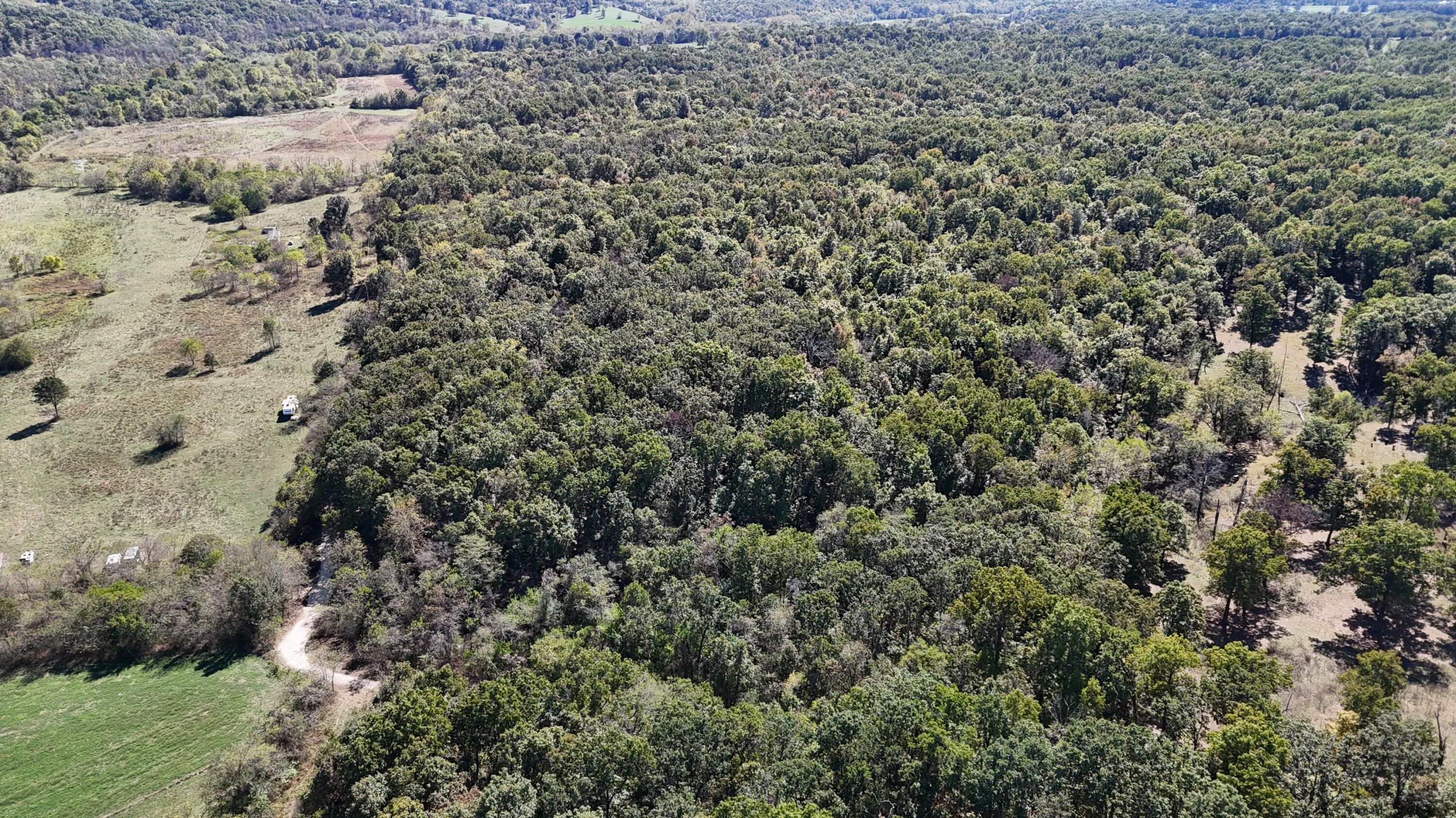 Land for sale – 0000  Grape Vine   Marshfield, MO
