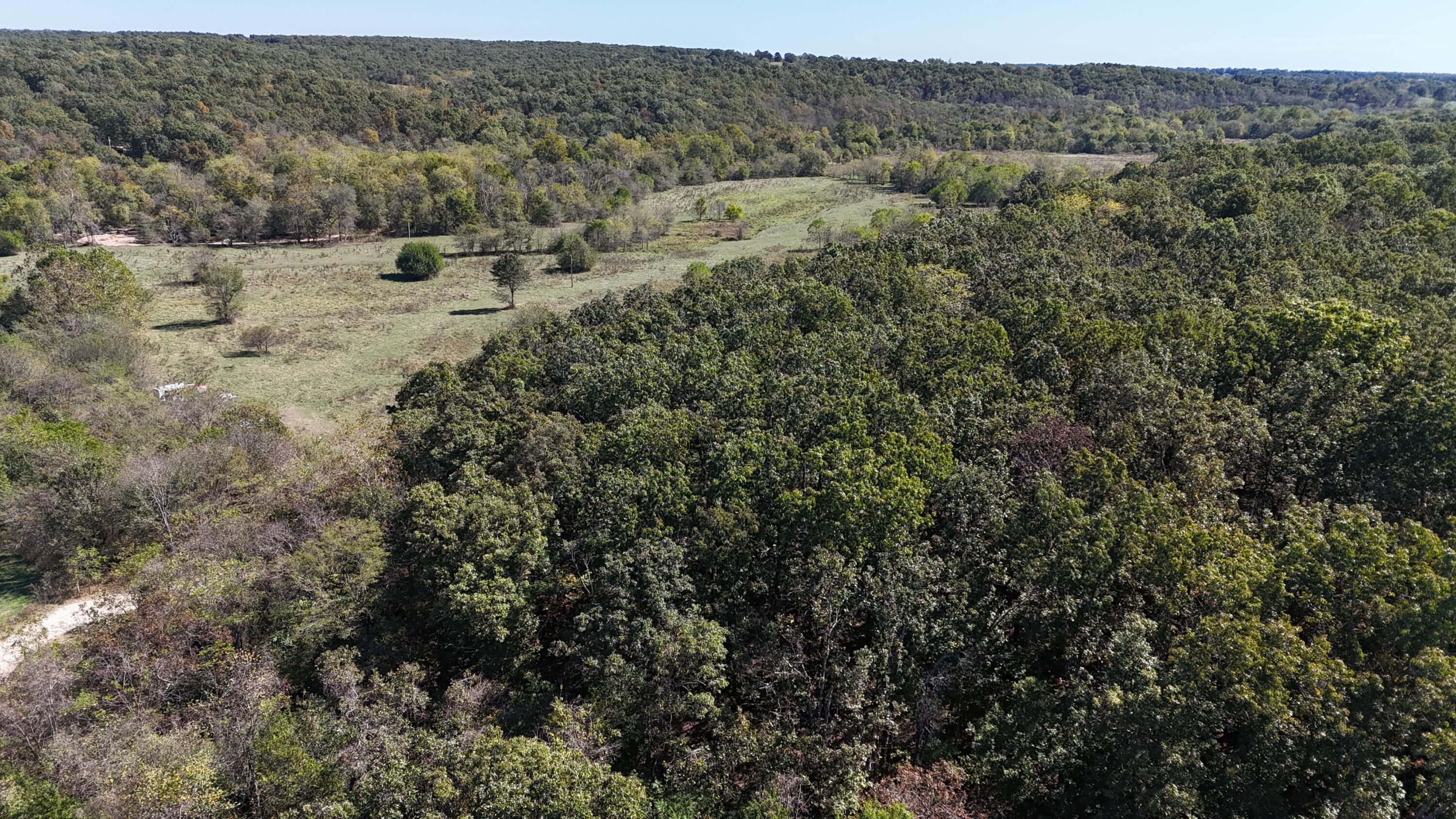 Photo 10 - Land for sale – 0000  Grape Vine   Marshfield, MO