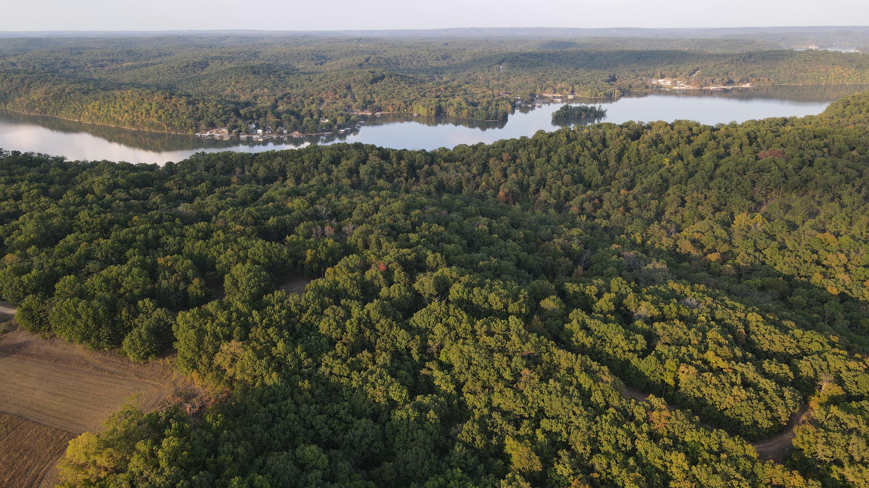 Photo 32 - Land for sale – 000  Brown Bend Road  Edwards, MO