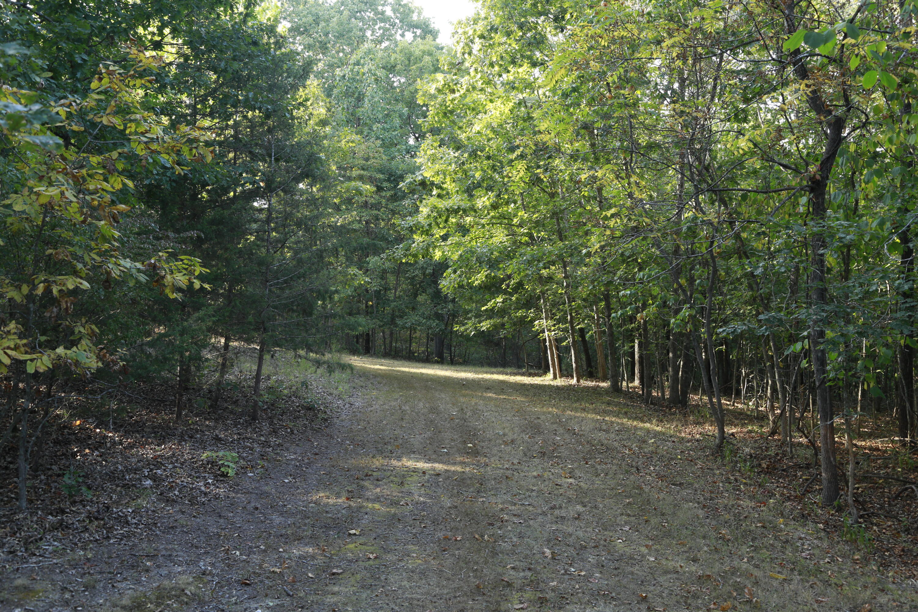 Photo 9 - Land for sale – 000  Brown Bend Road  Edwards, MO