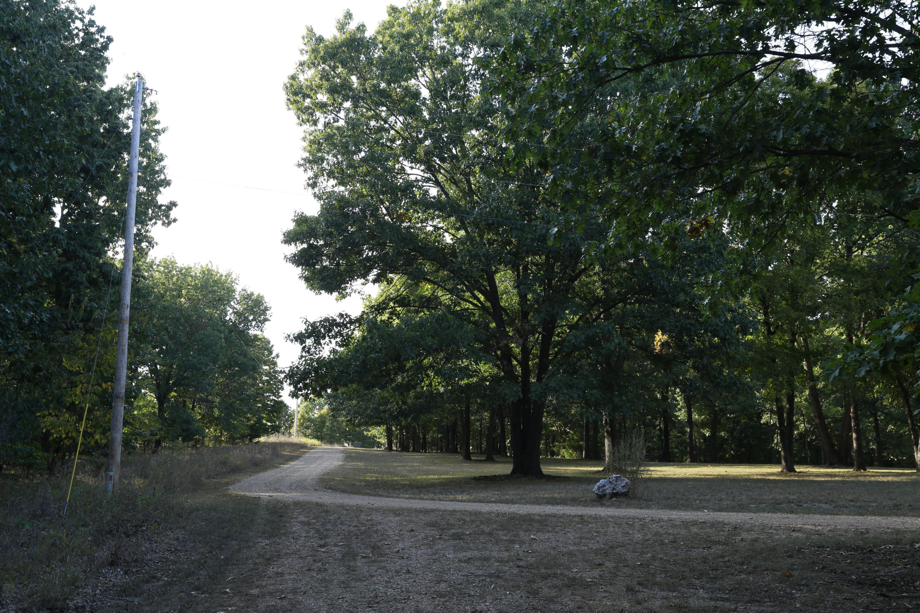 Photo 8 - Land for sale – 000  Brown Bend Road  Edwards, MO