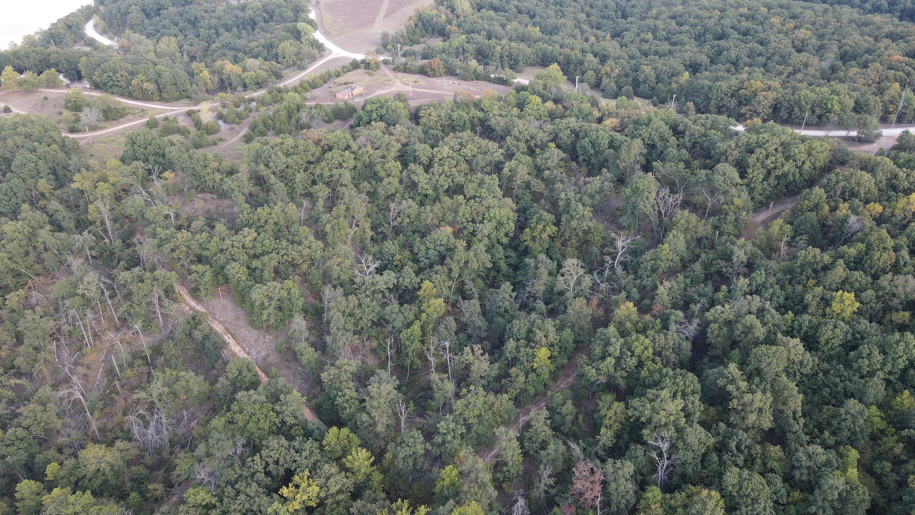 Photo 27 - Land for sale – 000  Brown Bend Road  Edwards, MO