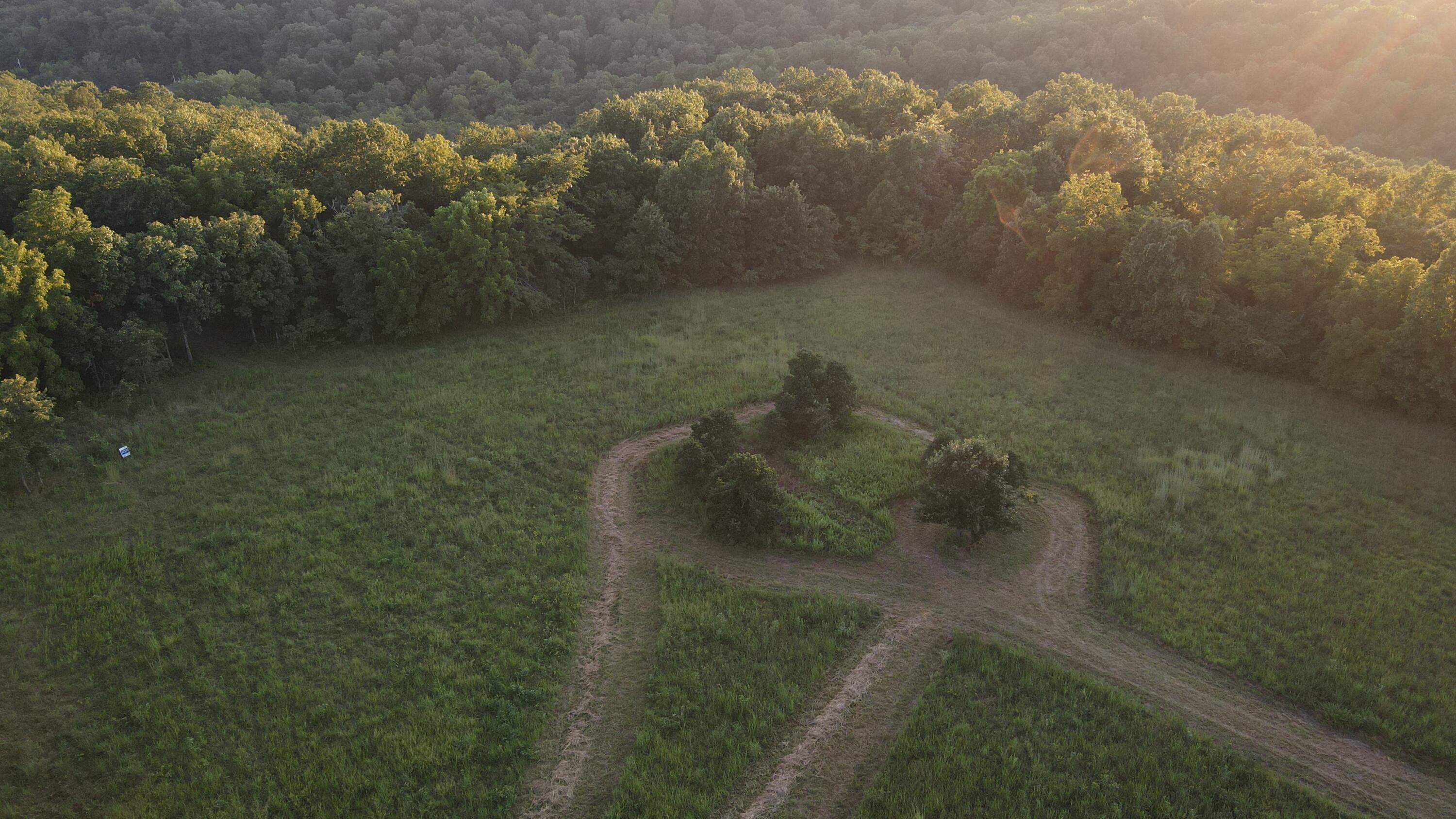 Photo 21 - Land for sale – 000  Brown Bend Road  Edwards, MO