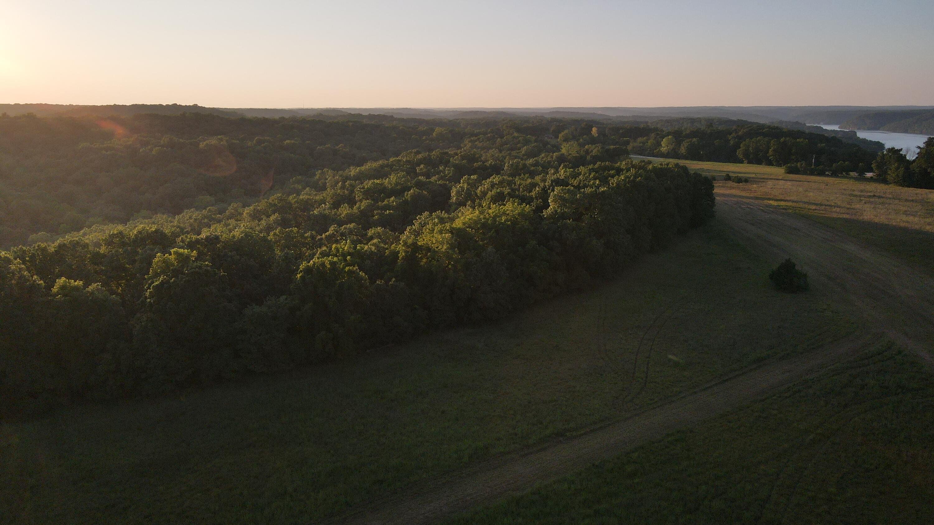 Photo 22 - Land for sale – 000  Brown Bend Road  Edwards, MO