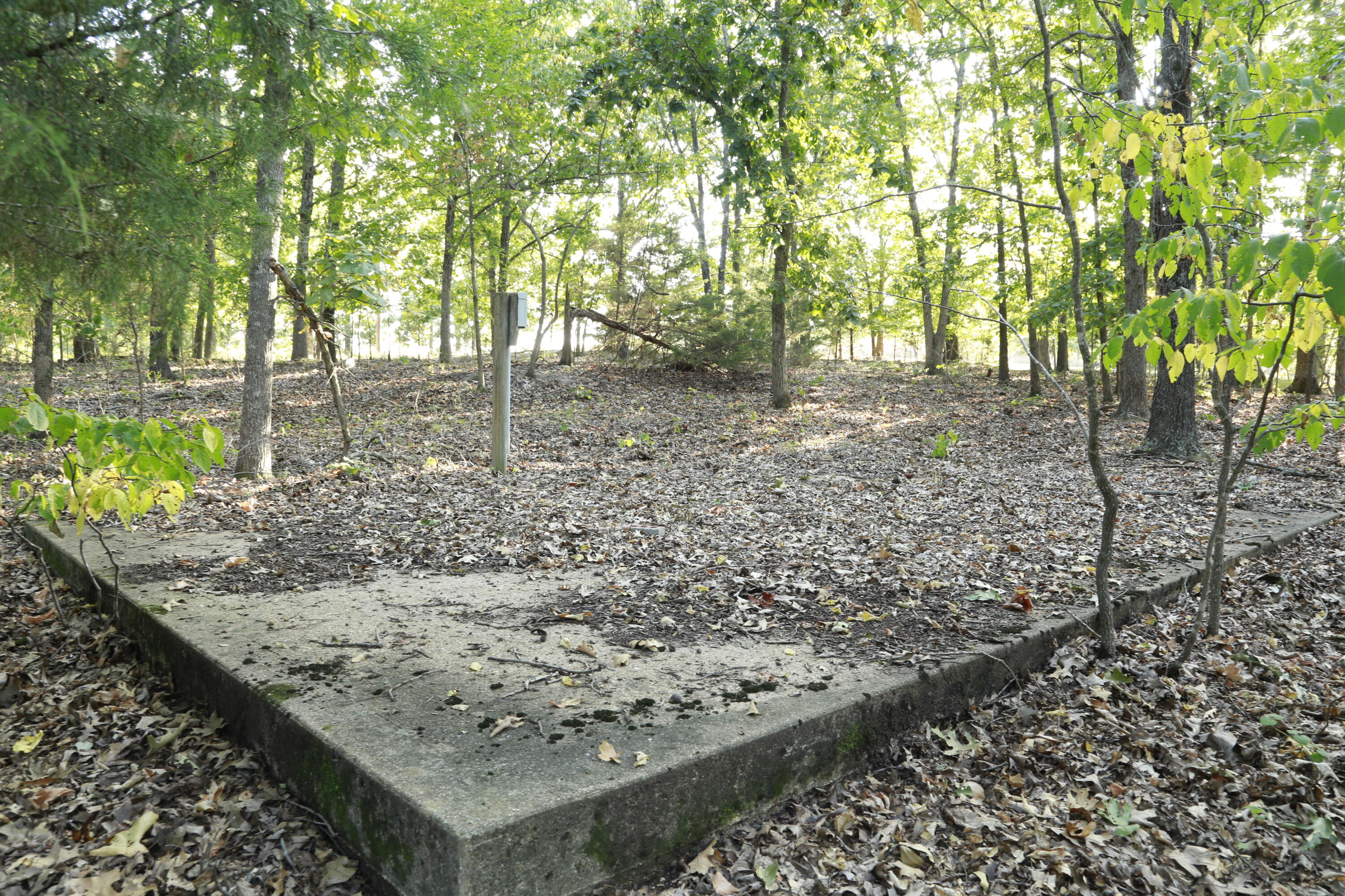 Photo 13 - Land for sale – 000  Brown Bend Road  Edwards, MO