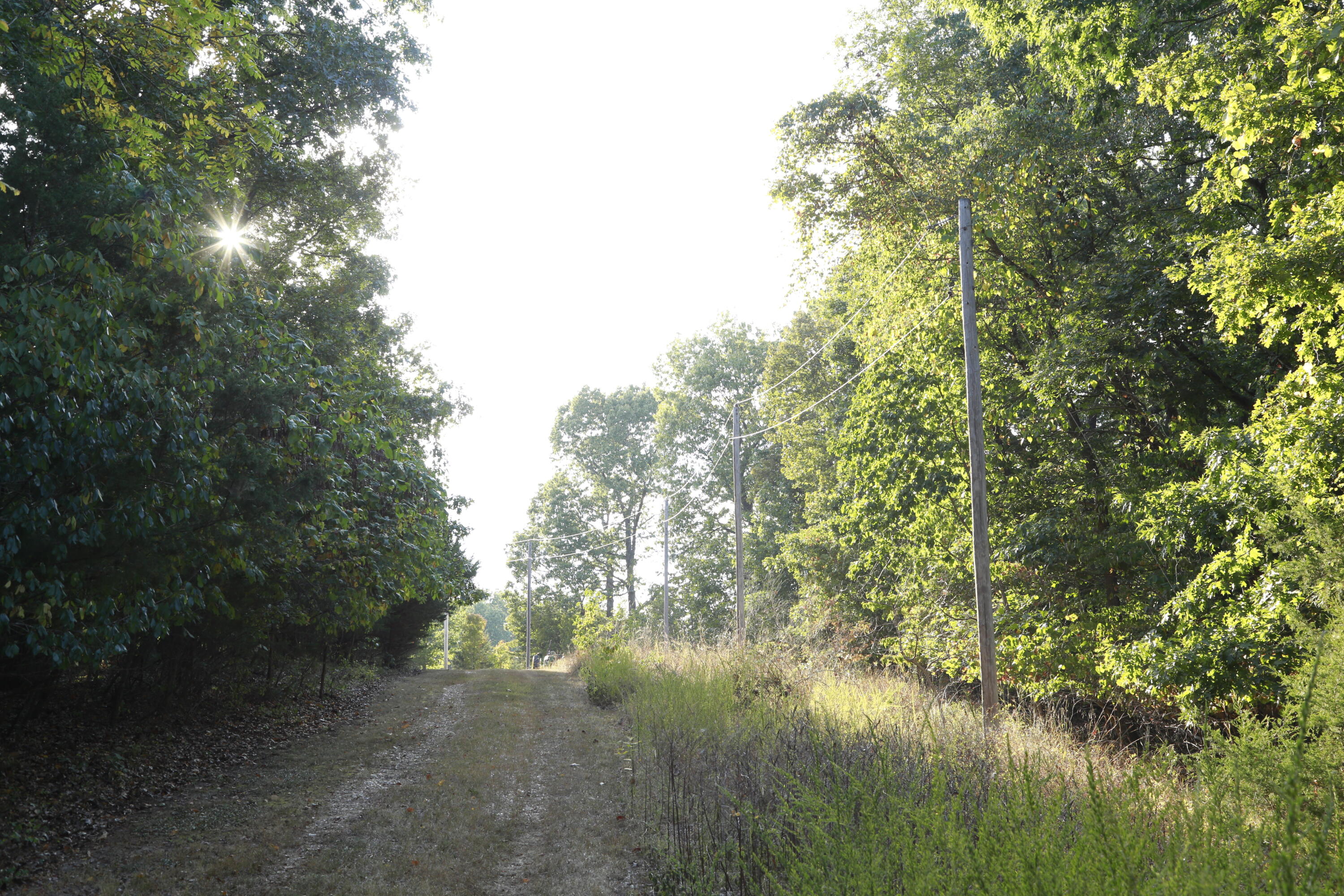 Photo 12 - Land for sale – 000  Brown Bend Road  Edwards, MO