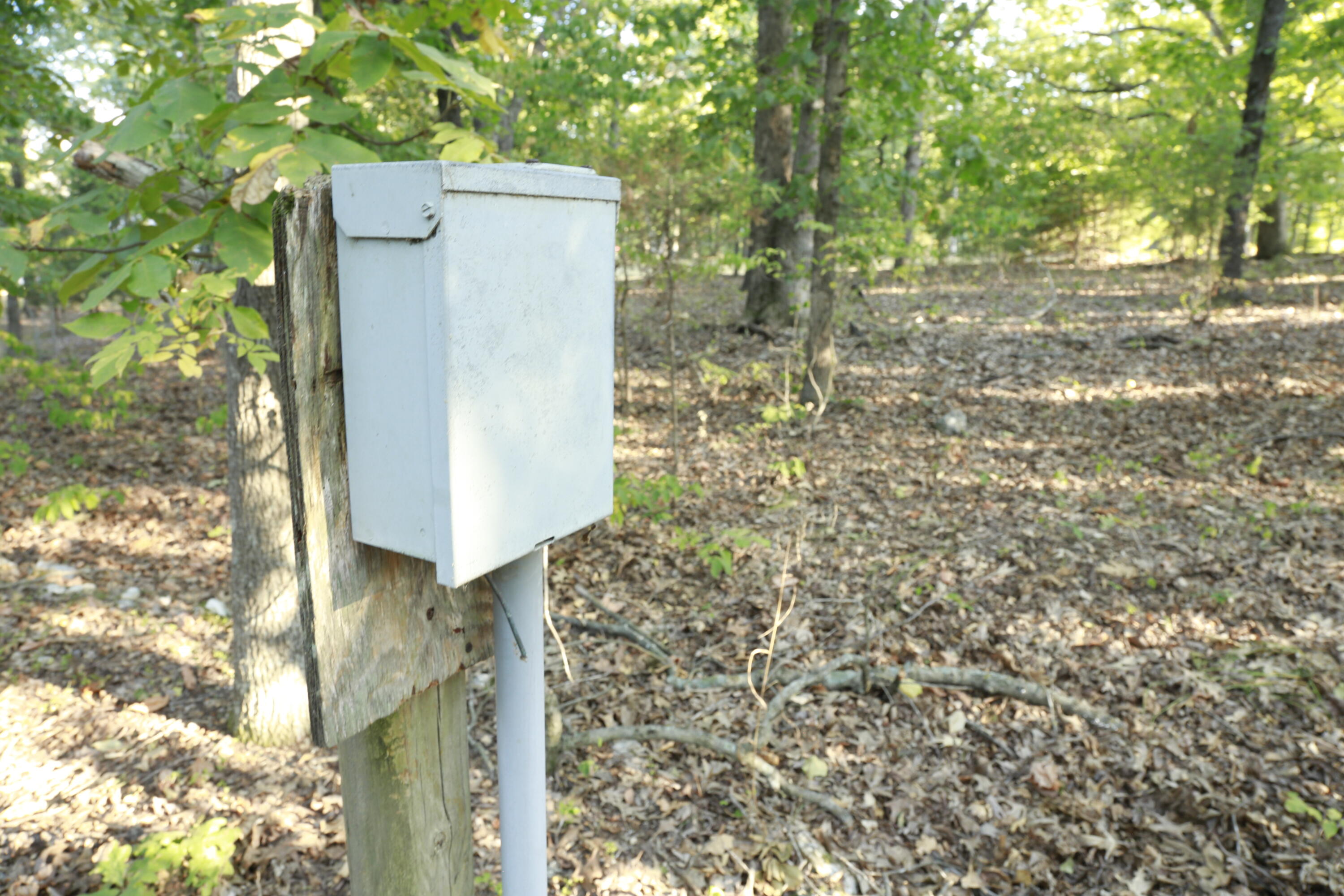 Photo 14 - Land for sale – 000  Brown Bend Road  Edwards, MO