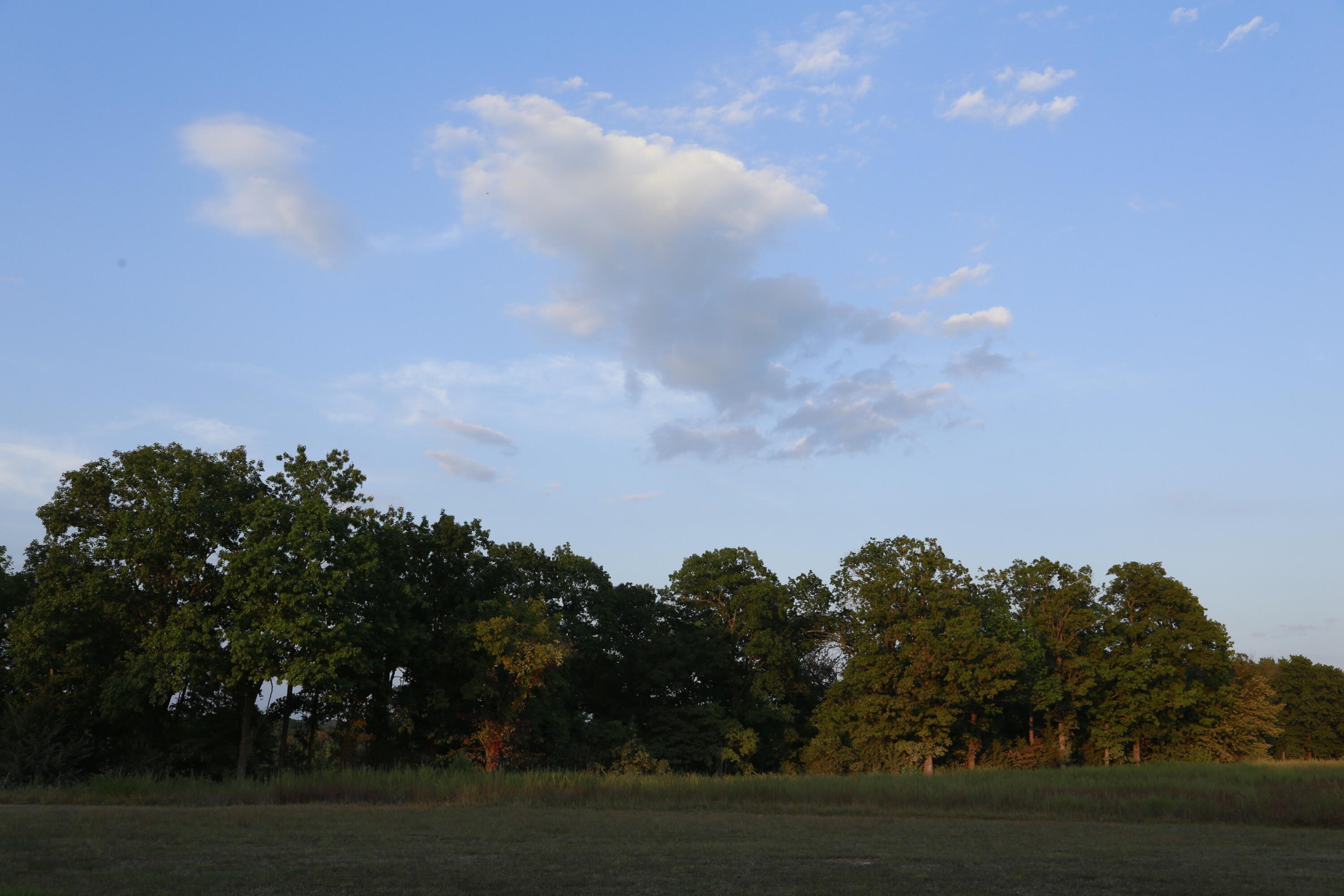 Photo 17 - Land for sale – 000  Brown Bend Road  Edwards, MO