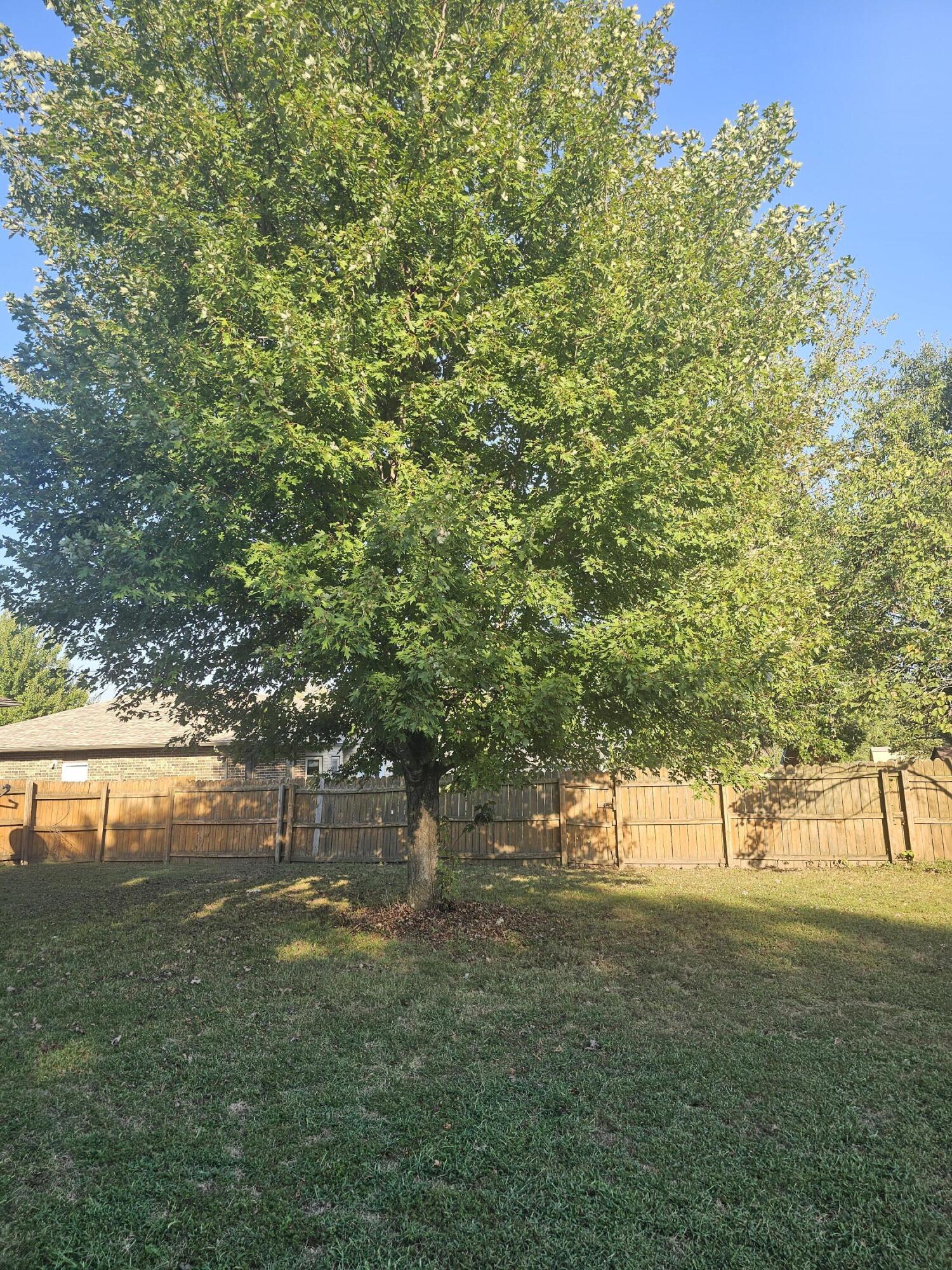 Photo 46 - Residential for sale – 2306 W Auburn Street  Bolivar, MO