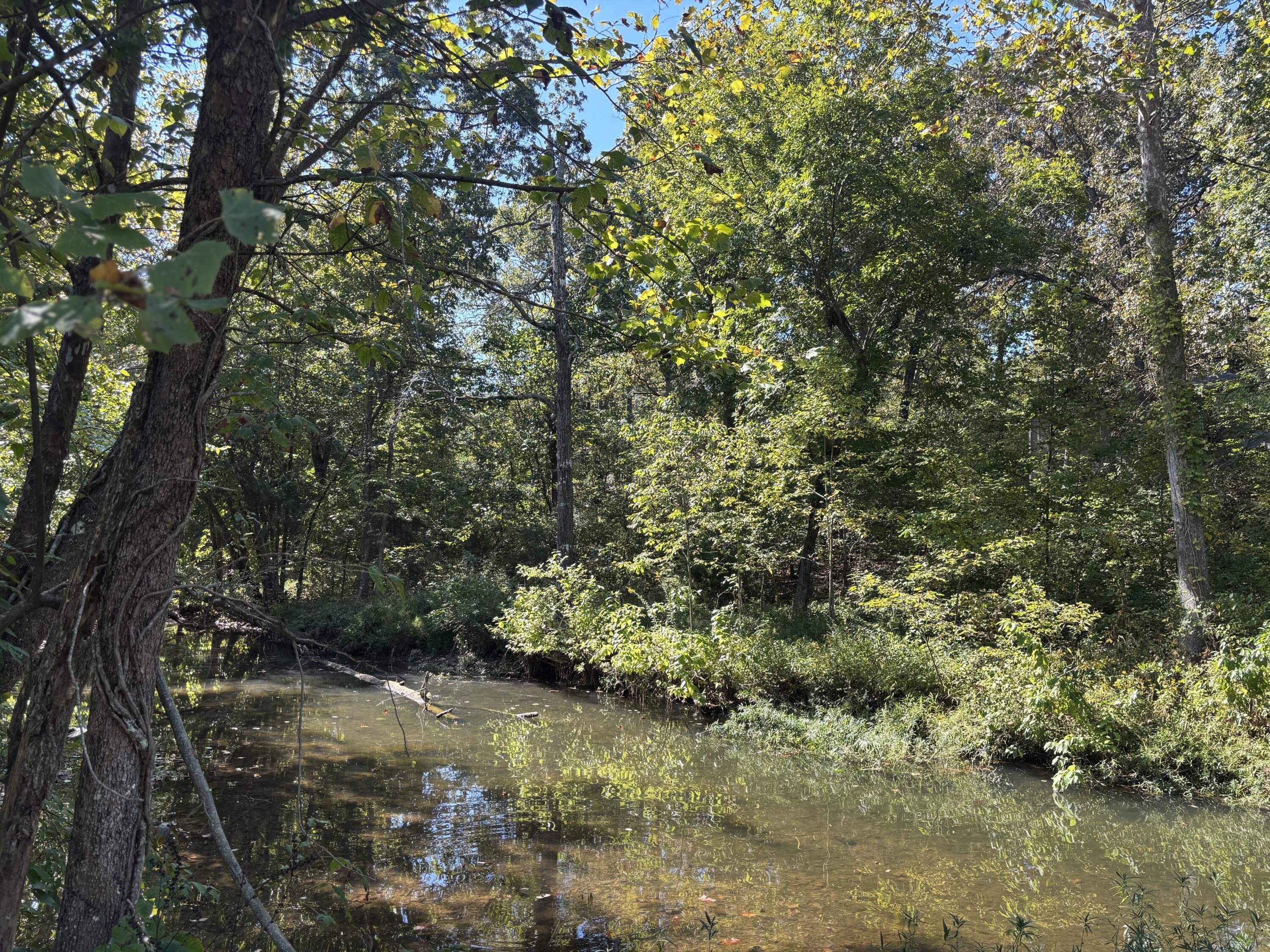 Photo 4 - Land for sale – Tbd W Lakeshore Drive   Cherokee Village, AR